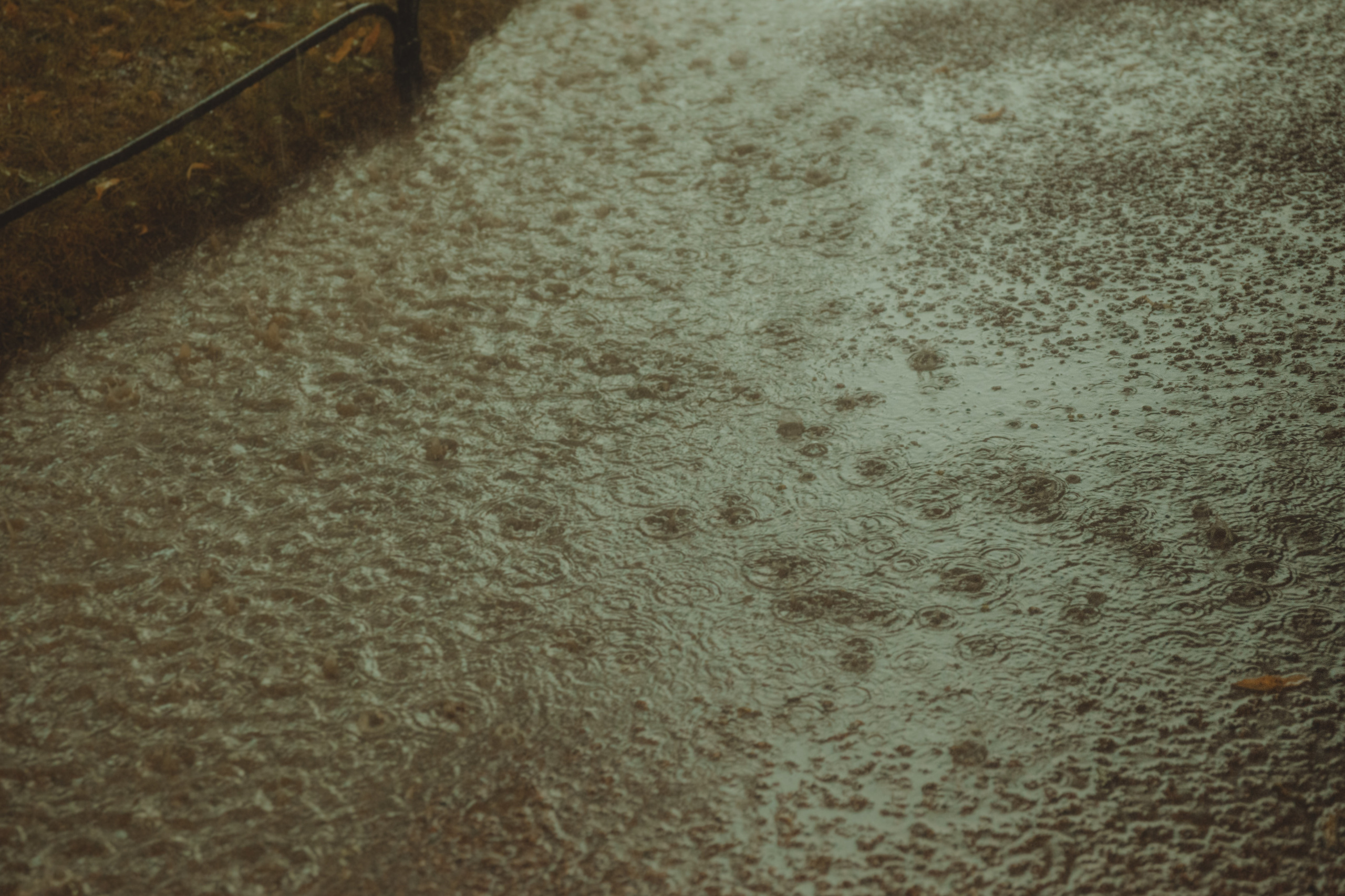 Лиса и Виталик. Бренд и контентные фотосессии, портреты и лавстори в Санкт-Петербурге