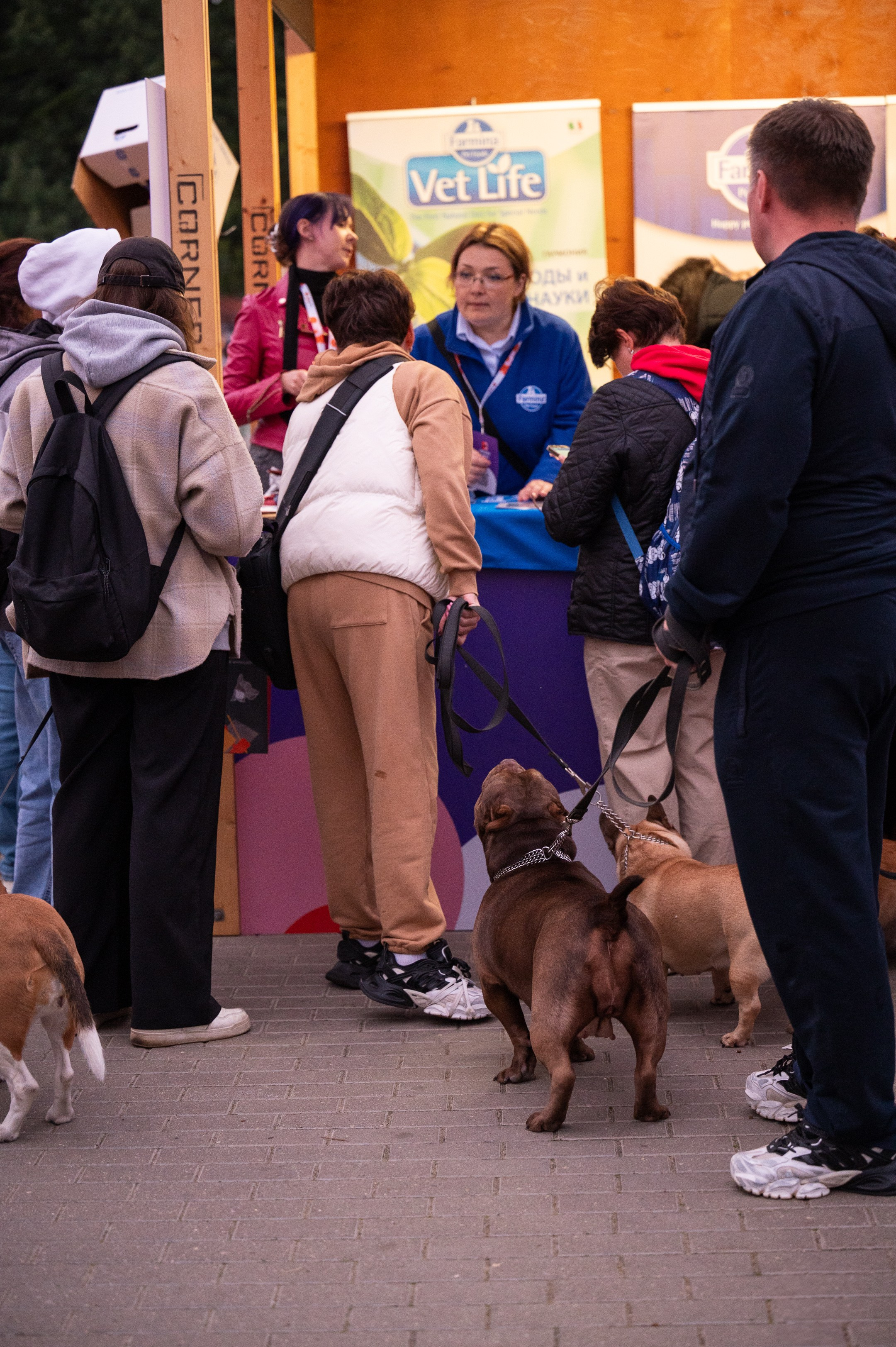 4lapy fest 2025. Photographer in Moscow Anna Chistiakova