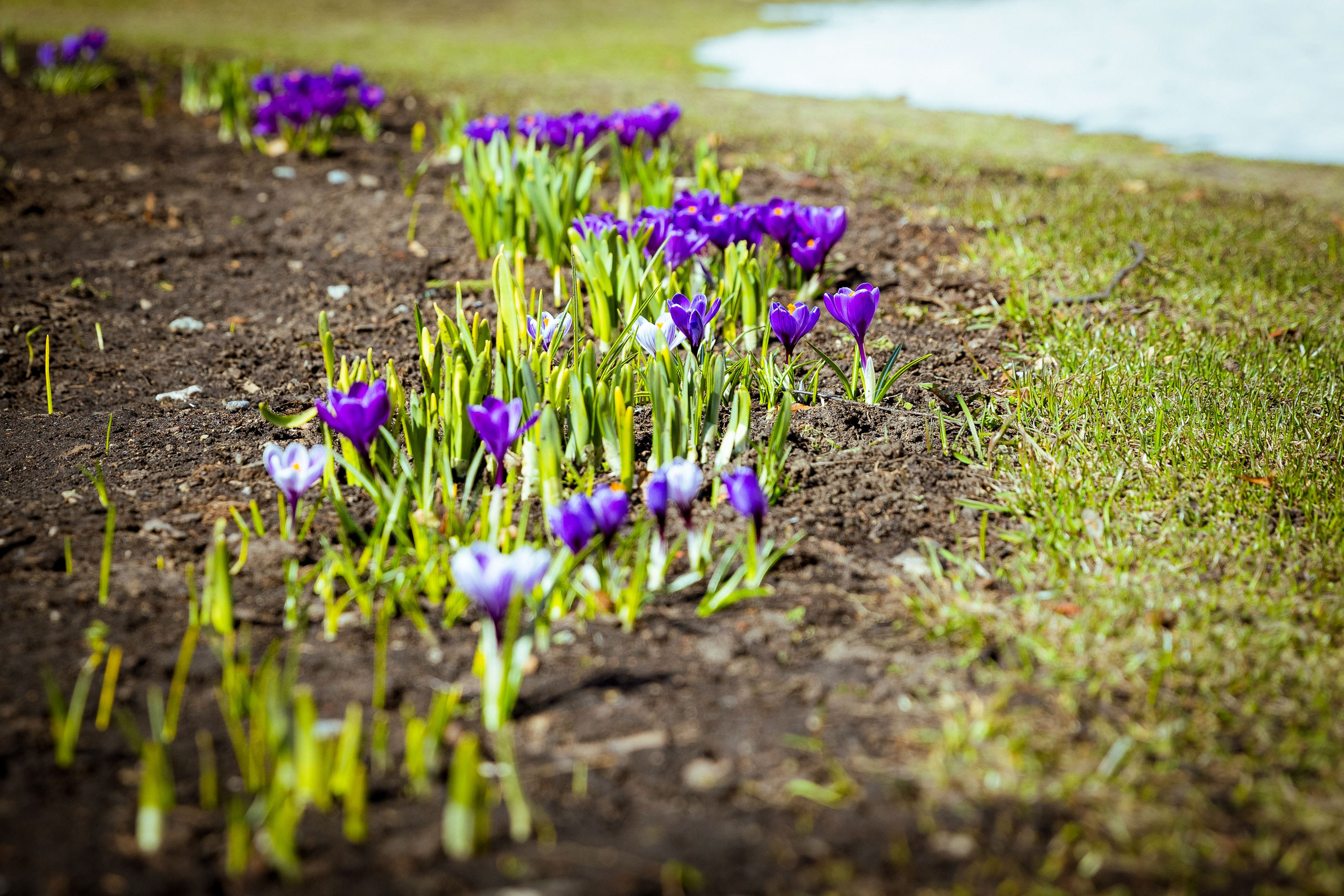 Тур для блогеров «Влюбиться в Удмуртию» [3-4 апреля 2024 г.]. Фотограф Виноградов Константин
