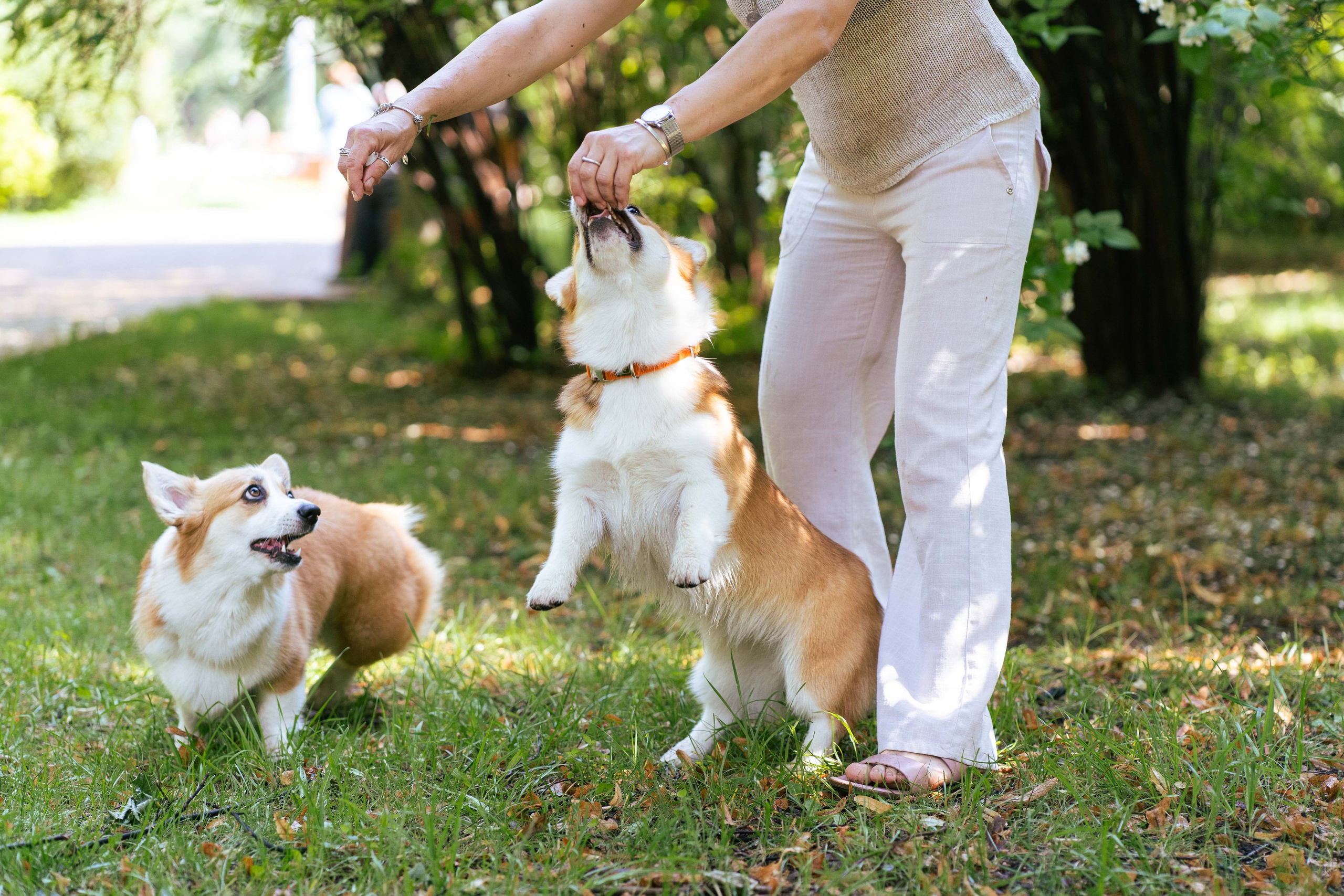 Ольга и коржики. Свадебный фотограф в Москве Анна Полушина