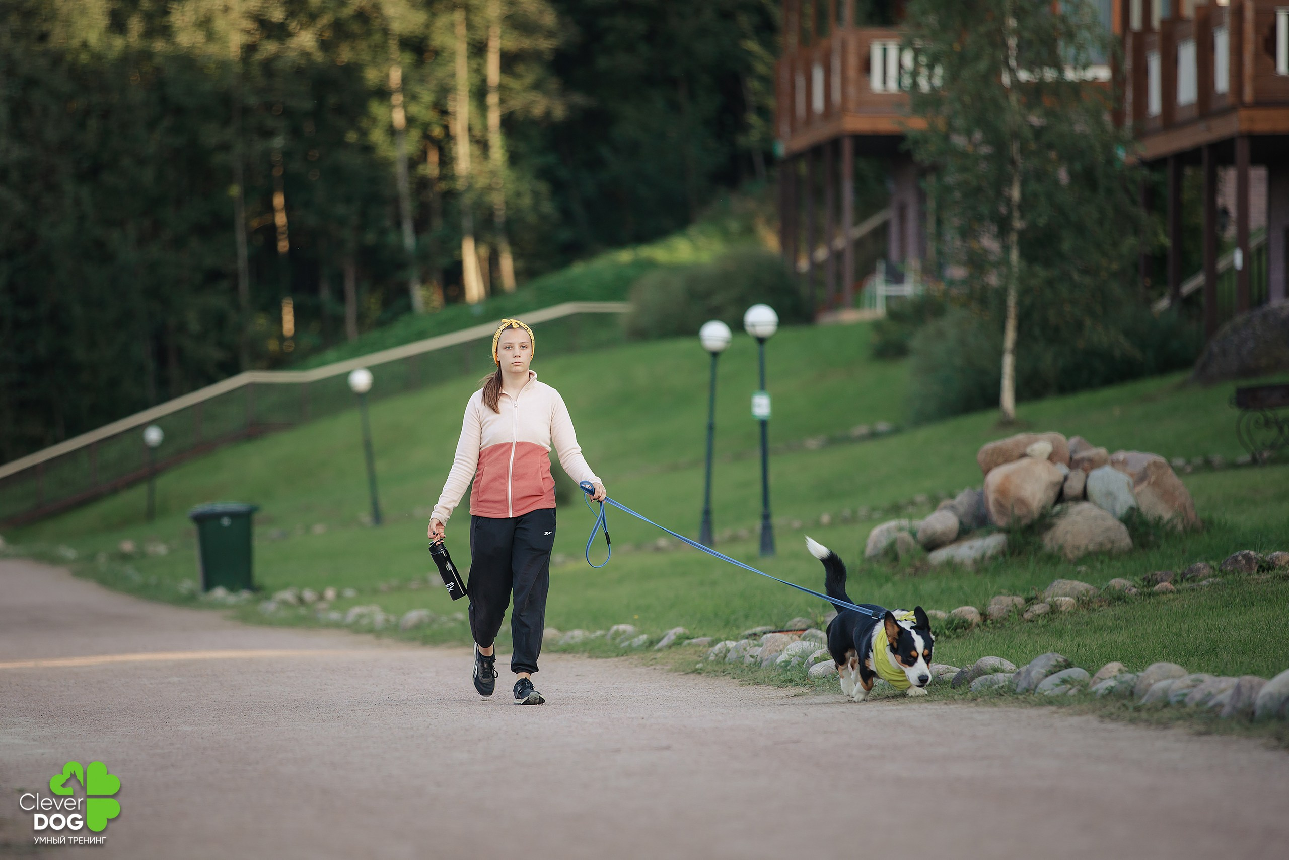 Кинологический лагерь CleverDog, 2024. Фотограф-анималист Mary Mart — Москва, Питер