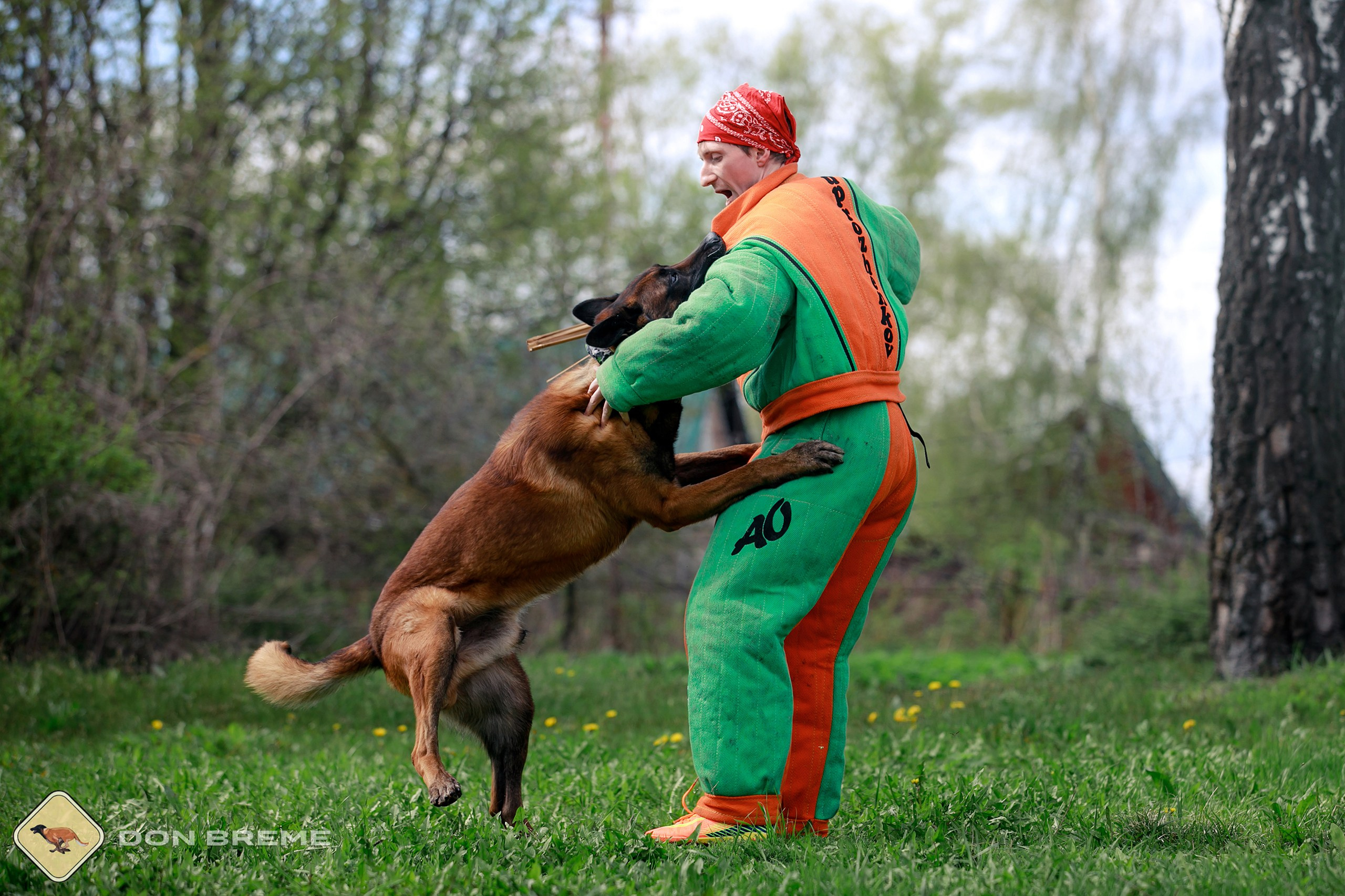 Семинар для фигурантов, день 2. Фотограф-анималист Mary Mart — Москва, Питер