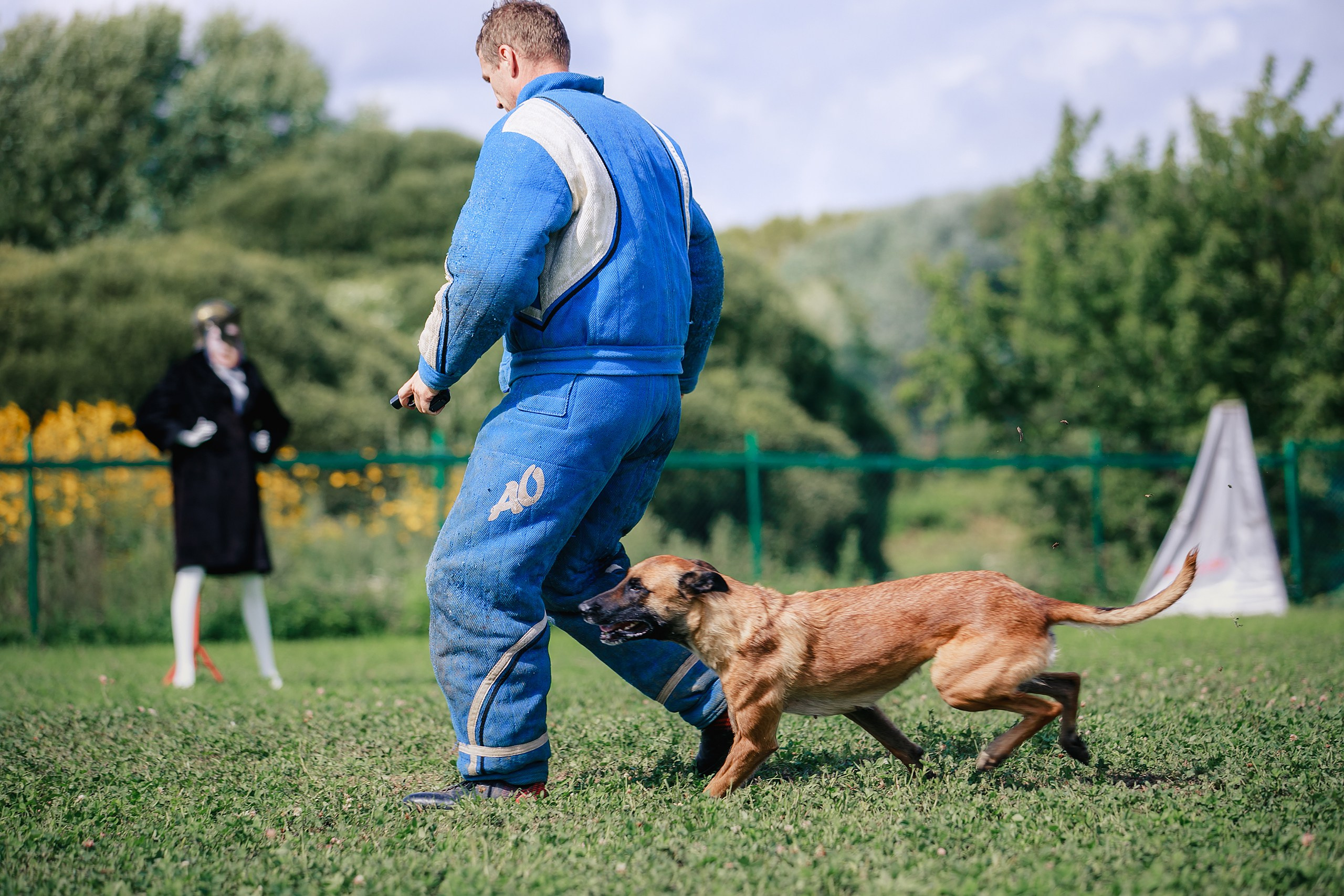 Мондьоринг М1, М2, М3, Вологда. Фотограф-анималист Mary Mart — Москва, Питер