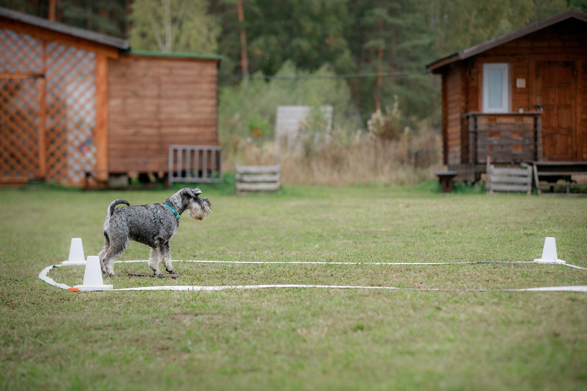 Лагерь по ОБД с Инной Баженовой. Фотограф-анималист Mary Mart — Москва, Питер