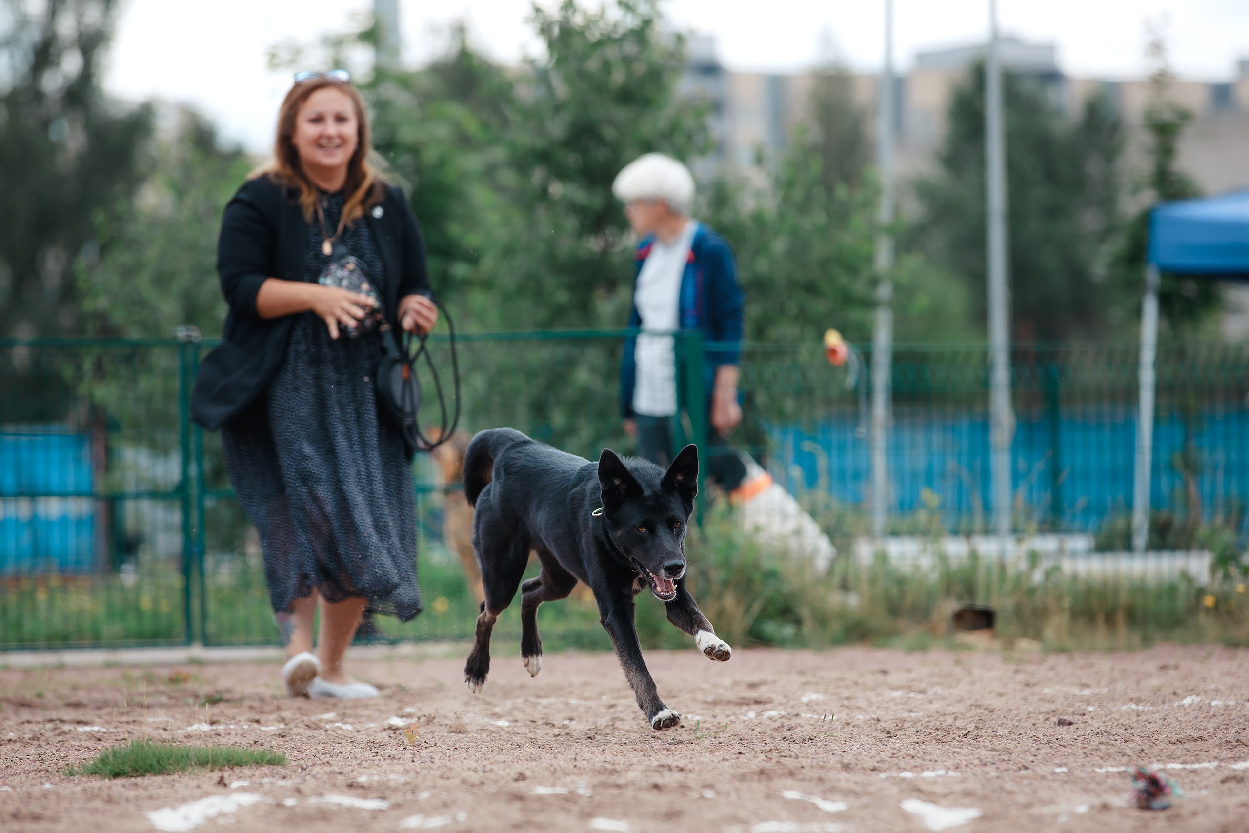 Питч&Гоу + веселые старты. Фотограф-анималист Mary Mart — Москва, Питер