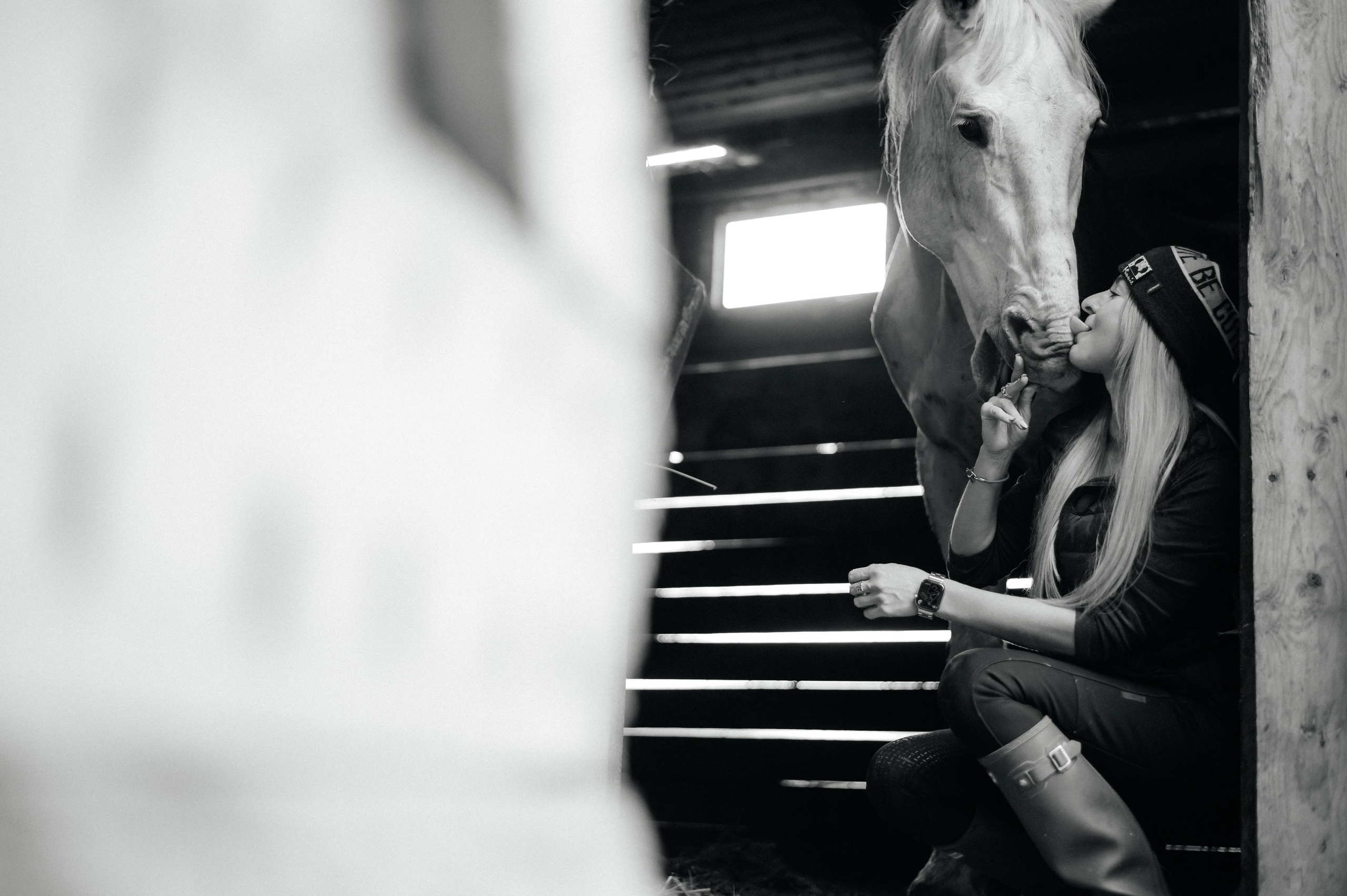 Из Швейцарии на конюшню в Сочи. Фотограф Сергей Суслов | Сочи