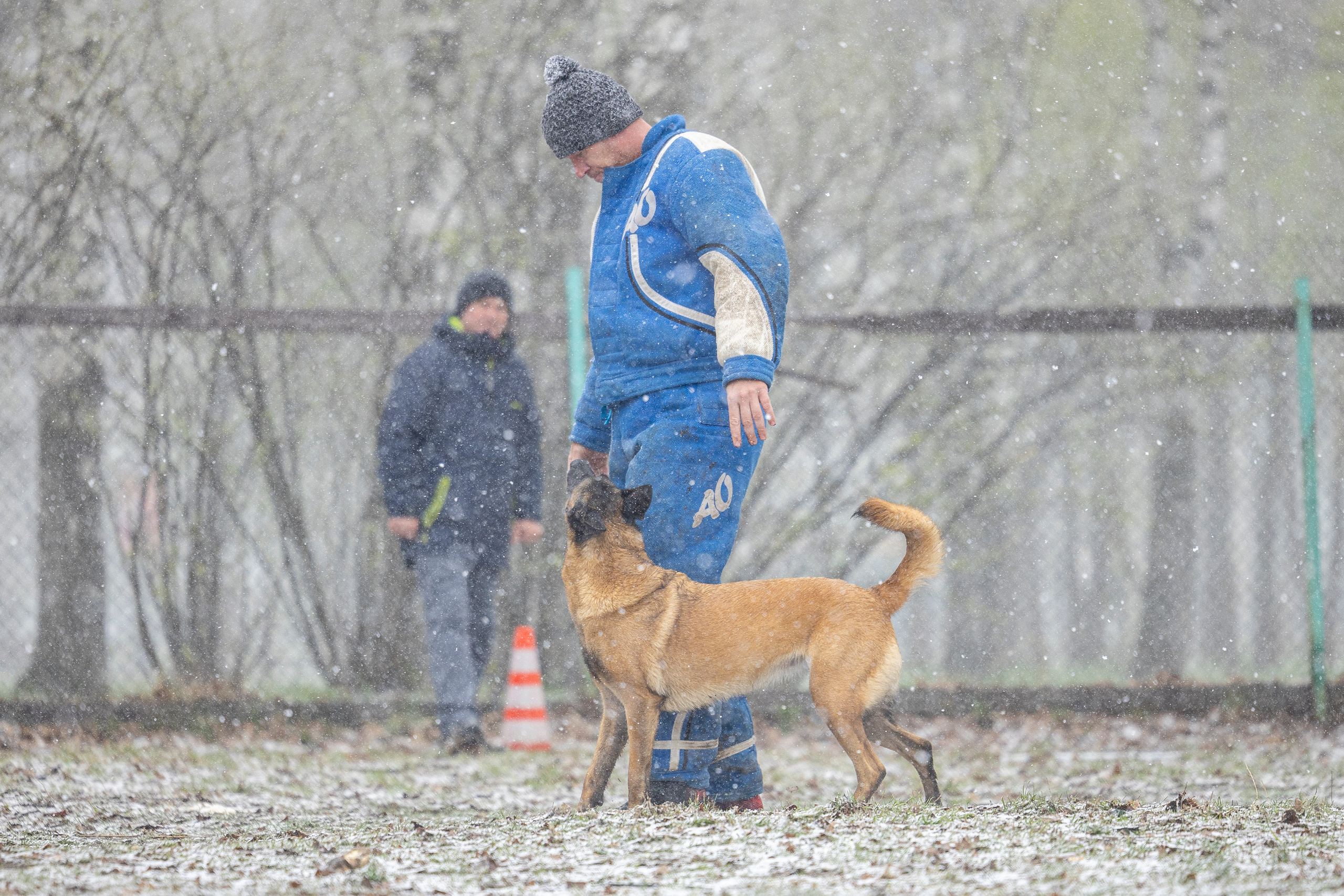 Квалификационные состязания по мондьорингу г. Вологда 11.05.24. Фотограф-анималист Анна Маринич