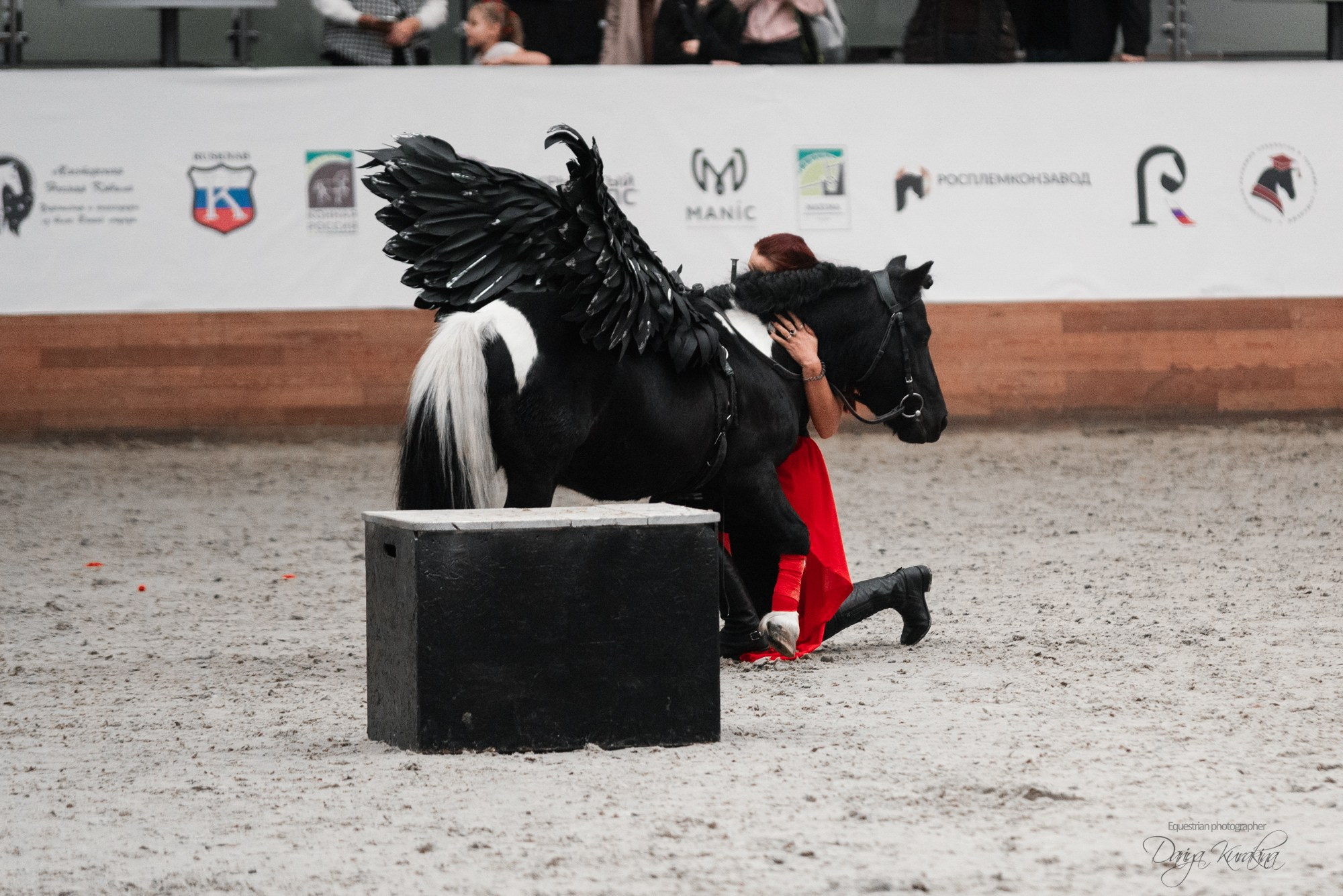 8-я международная выставка Конная Россия. Конный фотограф Куракина Дарья • Фотосессии с лошадьми