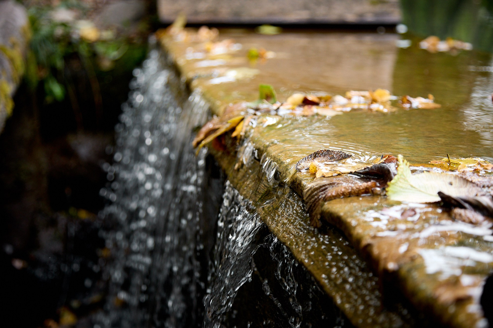 Еn plein air…. Портретный фотограф Евгений Денисов