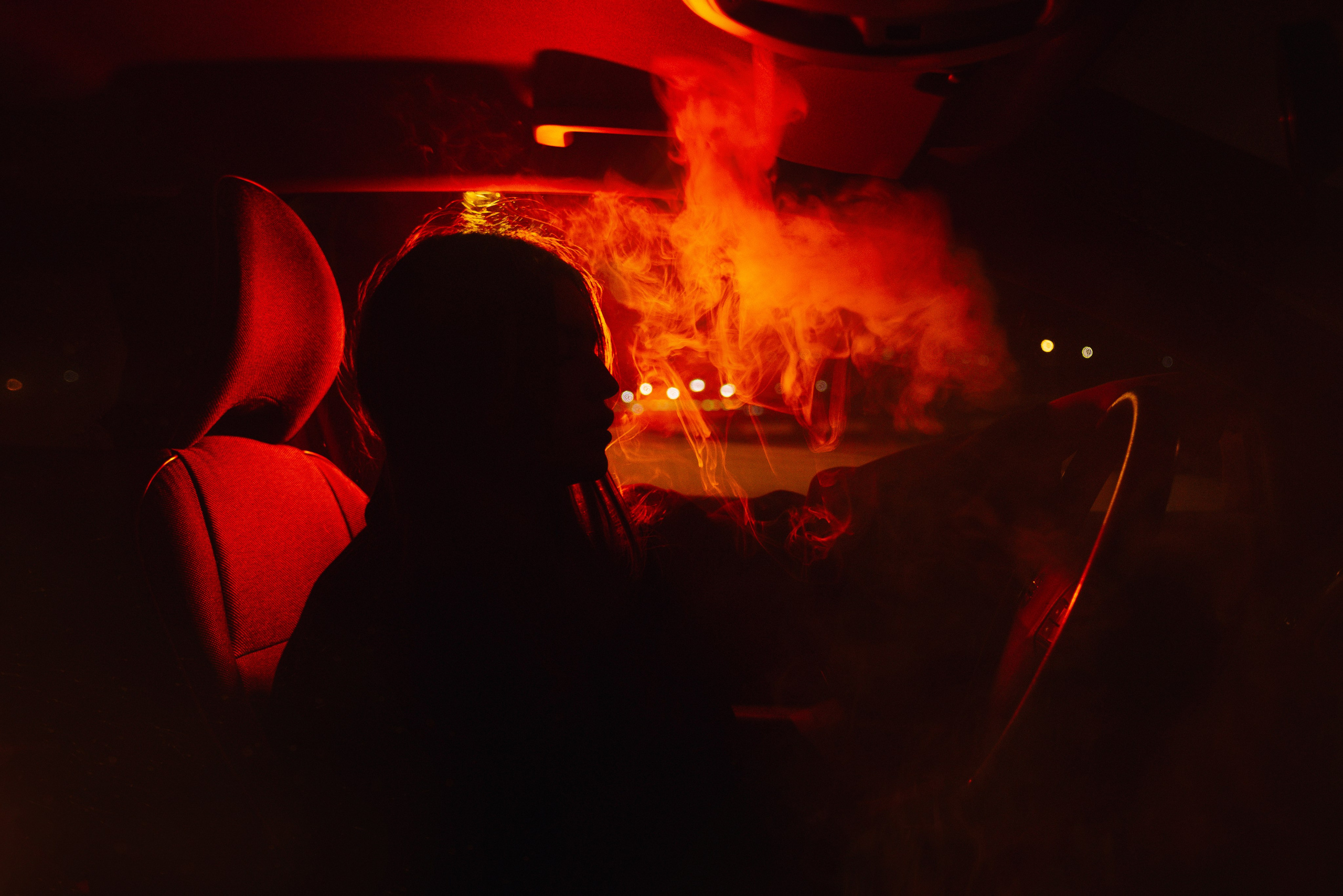 Себия. Дмитрий Шалыгин — Ваш фотограф в Севастополе и Крыму