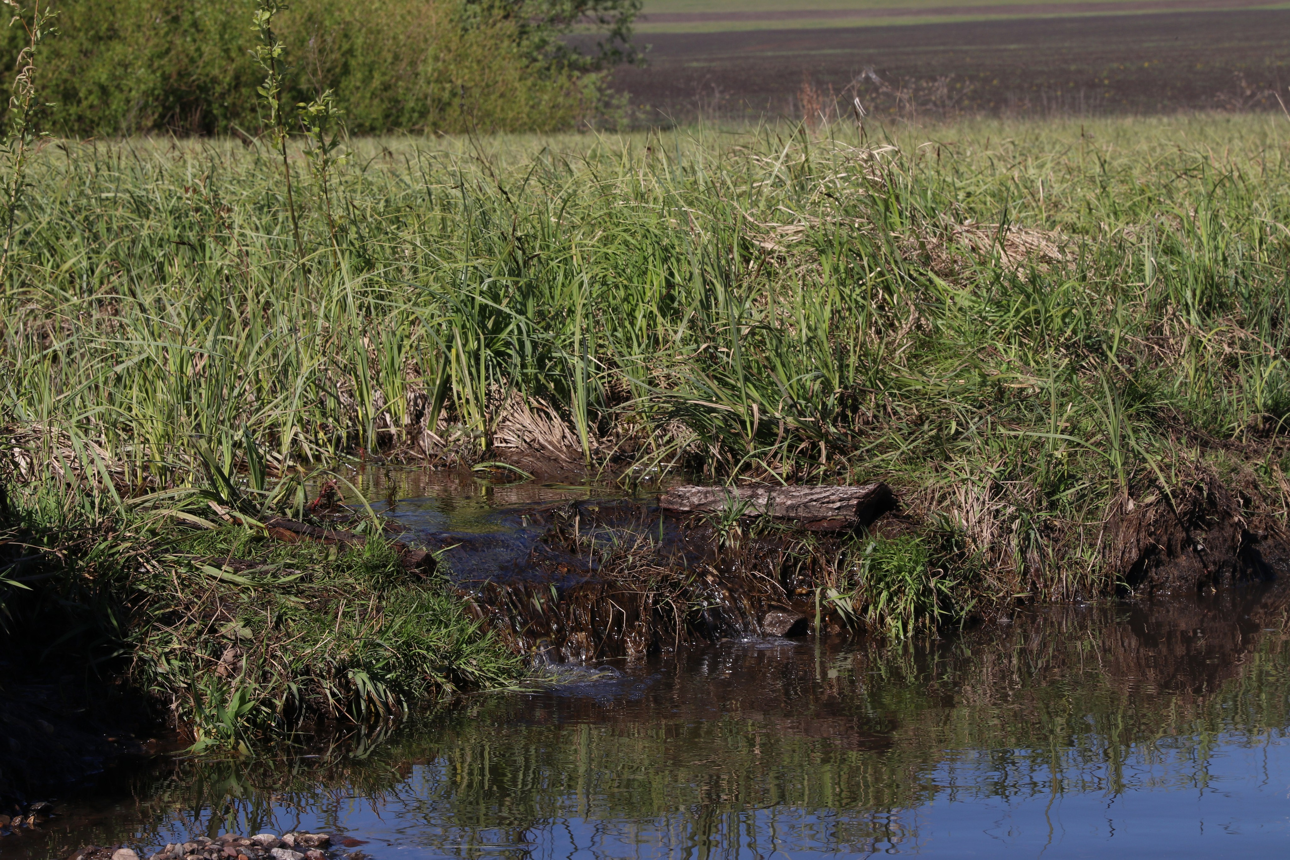 Велопоход Уфа — Мелеуз. Май 2024. Путешественник-фотограф из Санкт-Петербурга Татьяна Свистулина