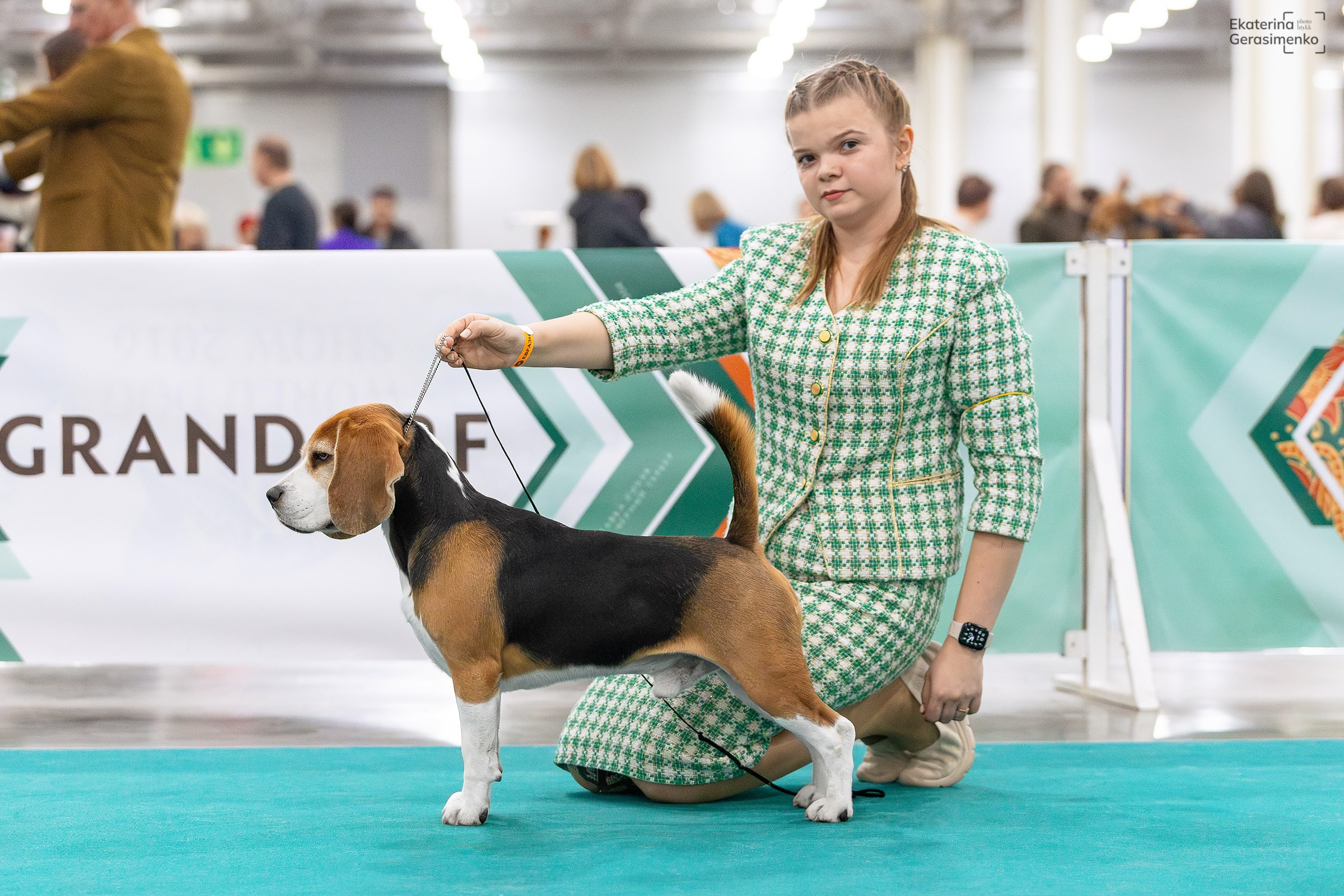 16–17 ноября 2024, Выставка ЕВРАЗИЯ, г. Москва. Htykk_photo