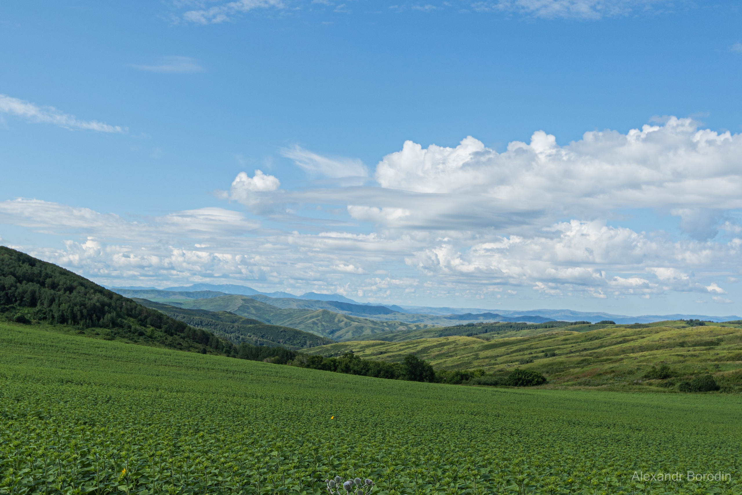 Пейзажи. Профессиональный фотограф Александр Бородин