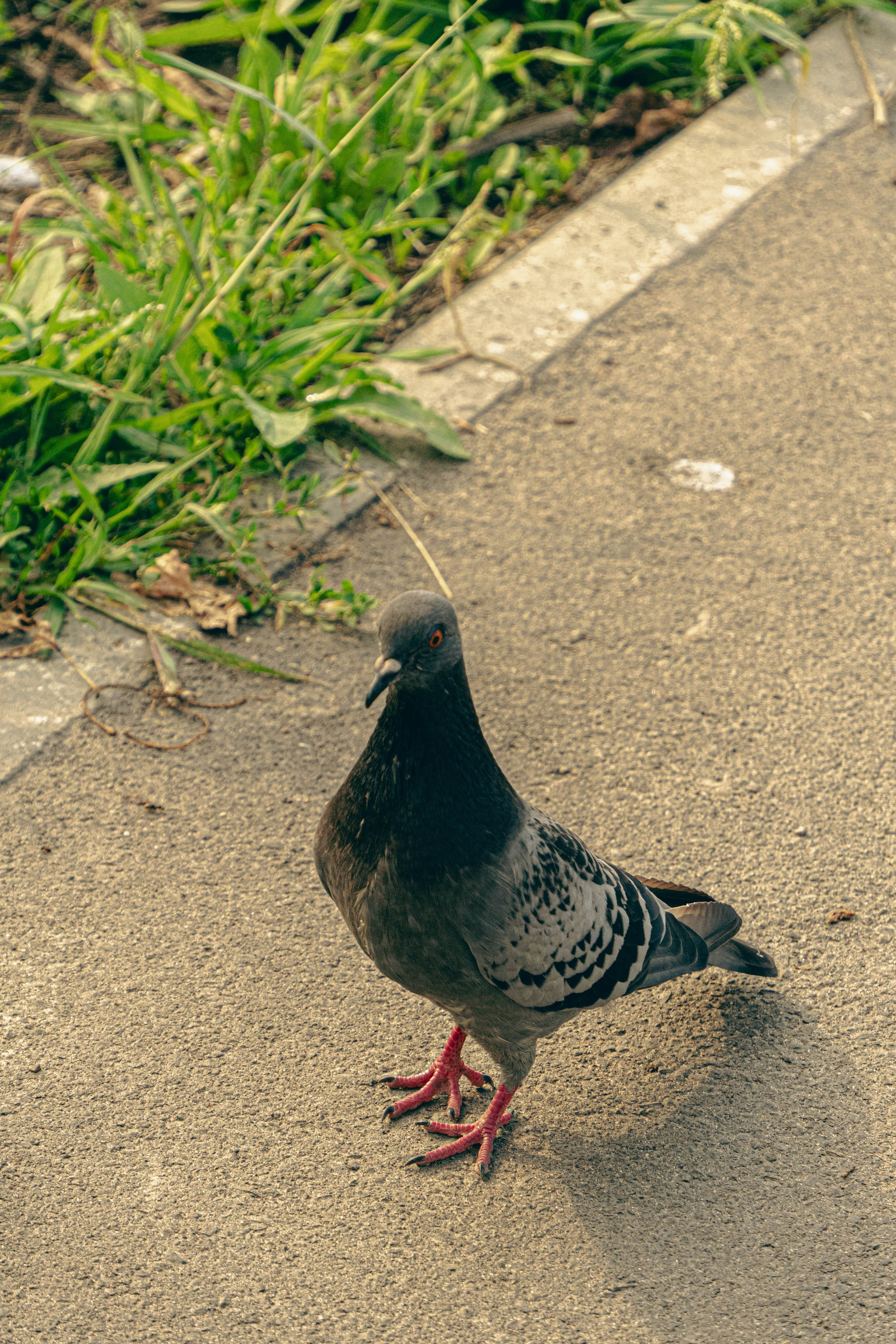 Архитектура и природа. Главная