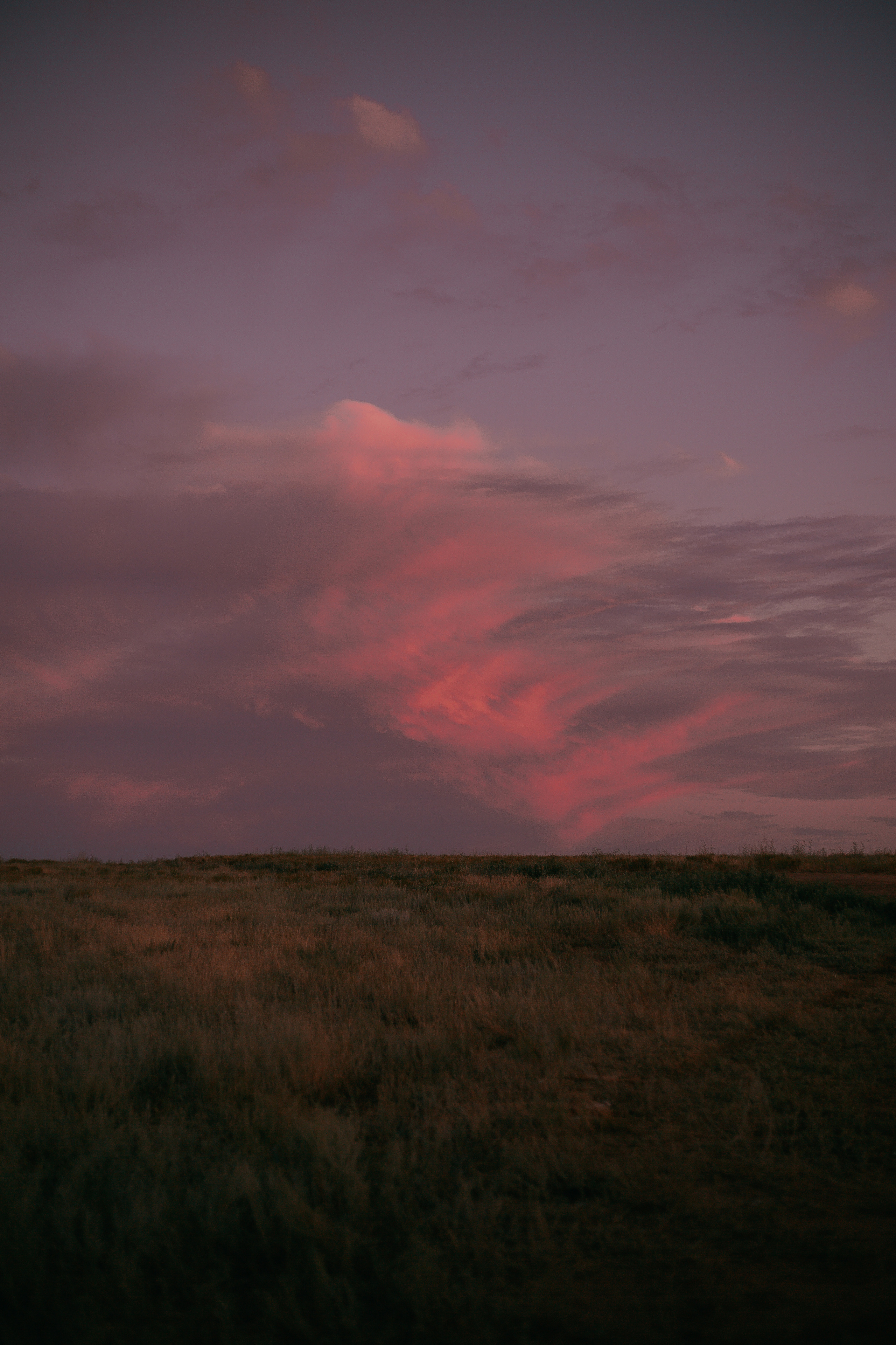 Про маму, бабушку и дедушку. Катерина Макиева