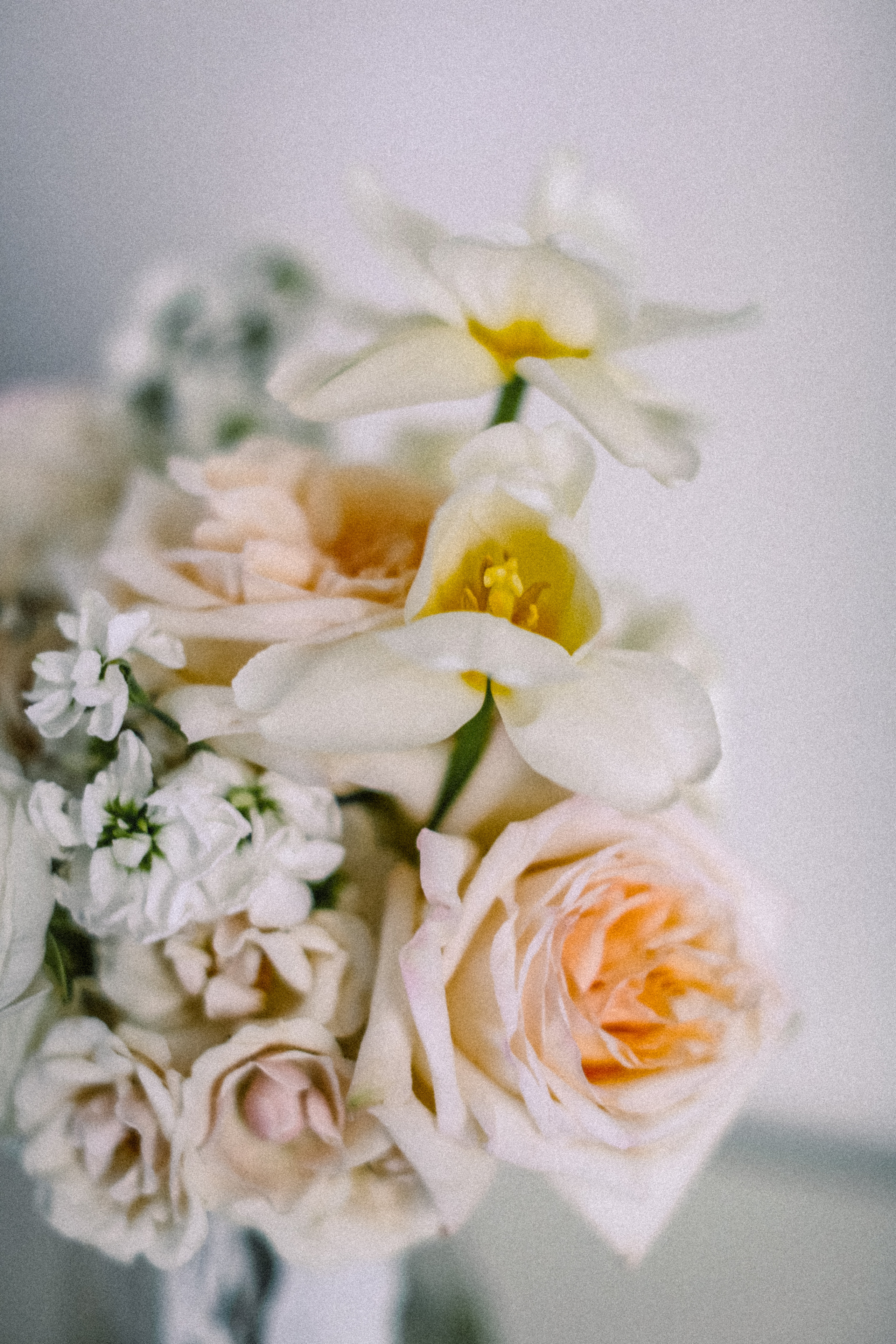 Алёна и Виталий (Организация: Свадебное агентство «ONE LOVE»). Катерина Макиева