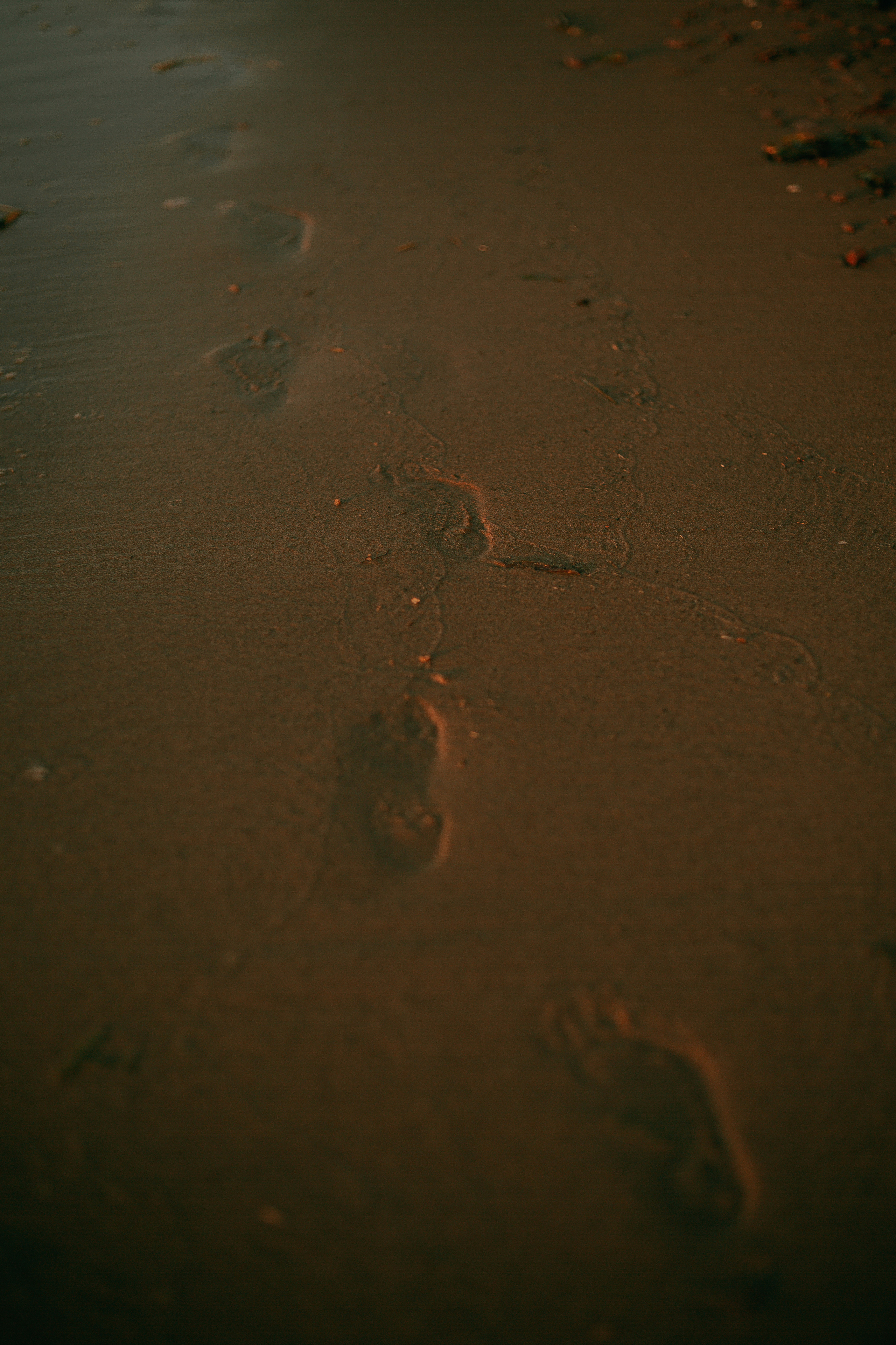 Про маму, бабушку и дедушку. Катерина Макиева