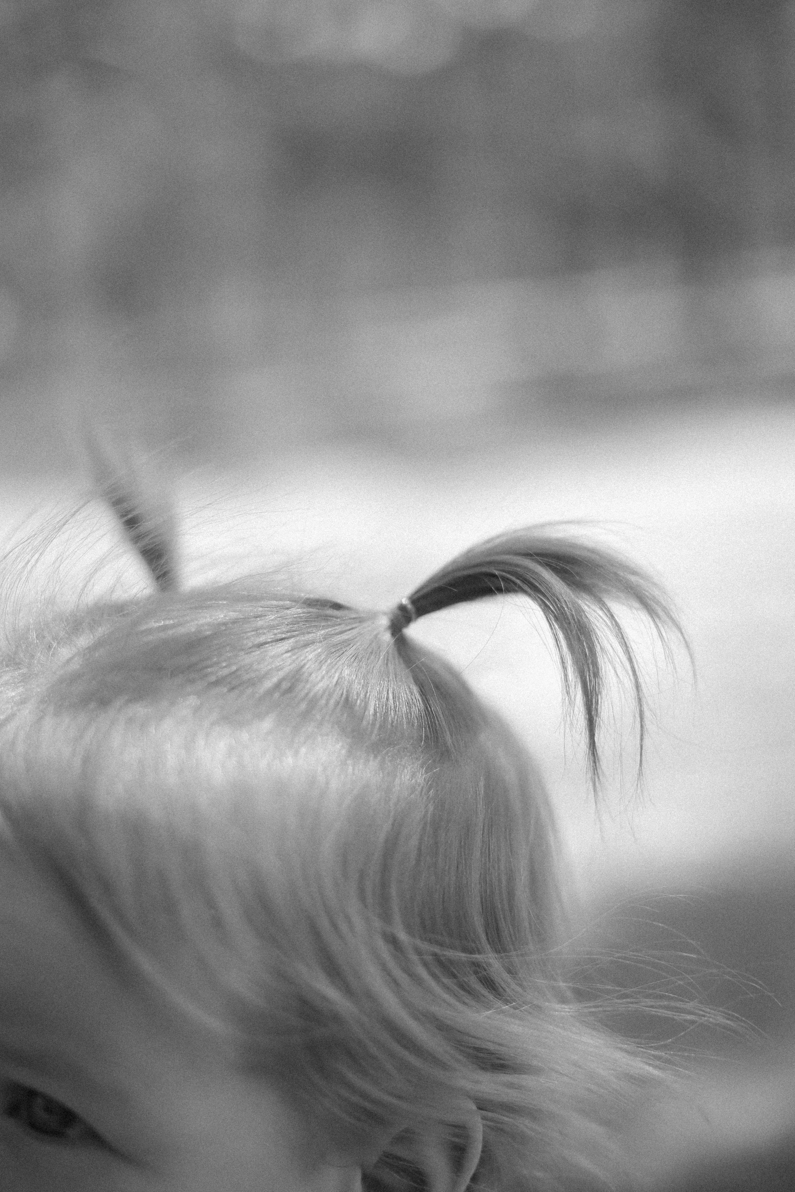 Оля + Андрей = Алиса. Катерина Макиева