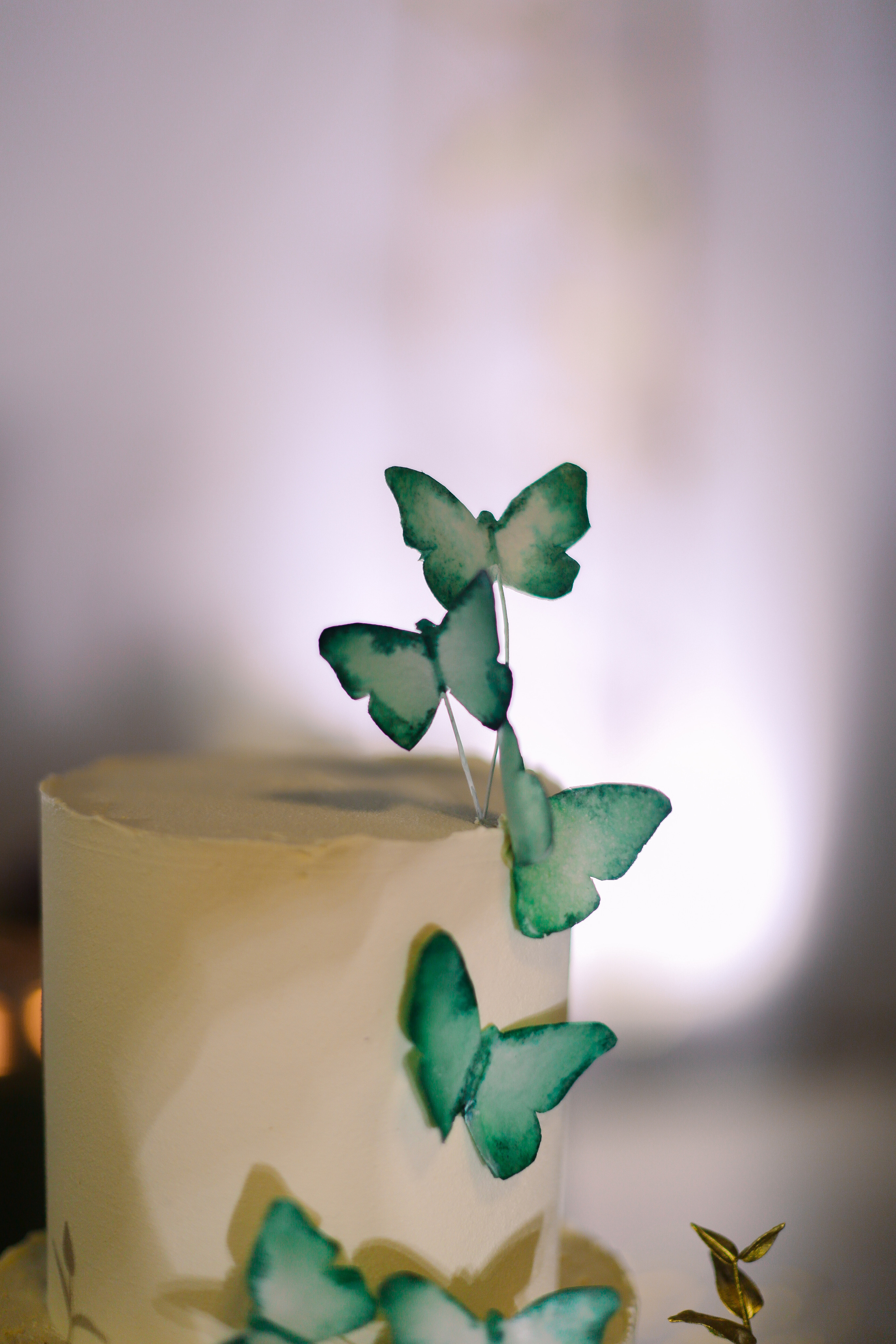 Алёна и Виталий (Организация: Свадебное агентство «ONE LOVE»). Катерина Макиева