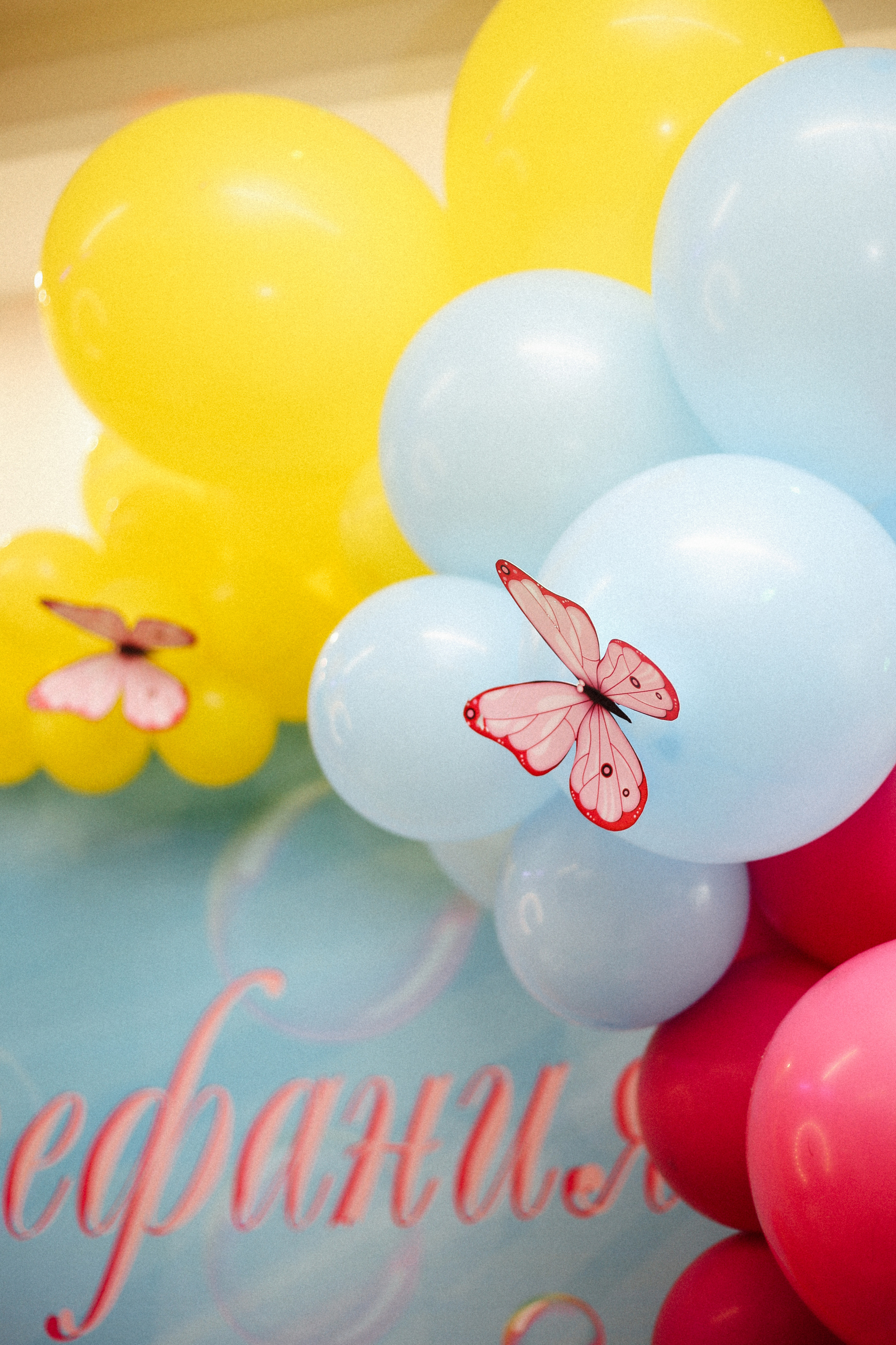 Кира. Катерина Макиева