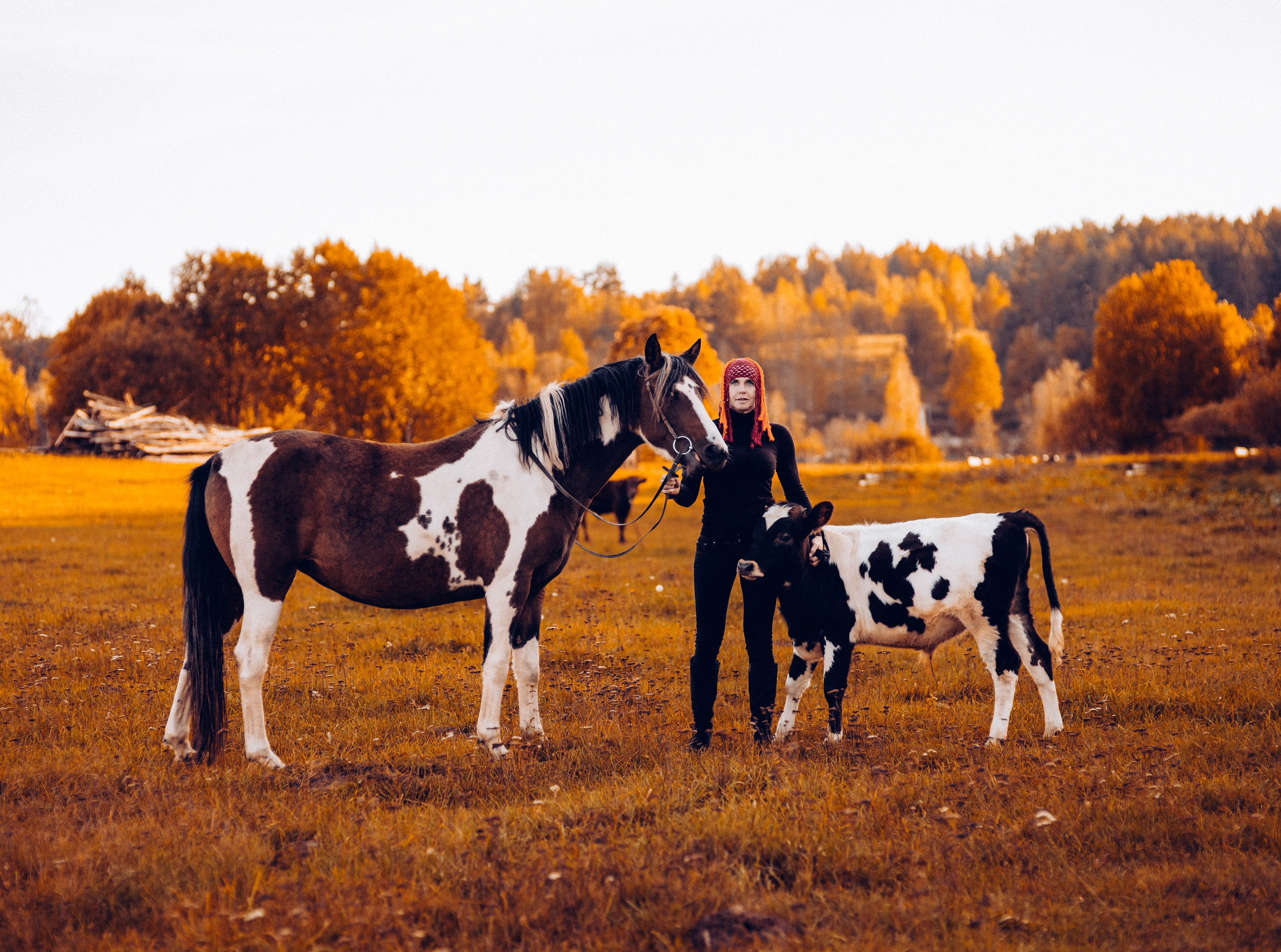 Фотосессии Фотодни Псков СПб