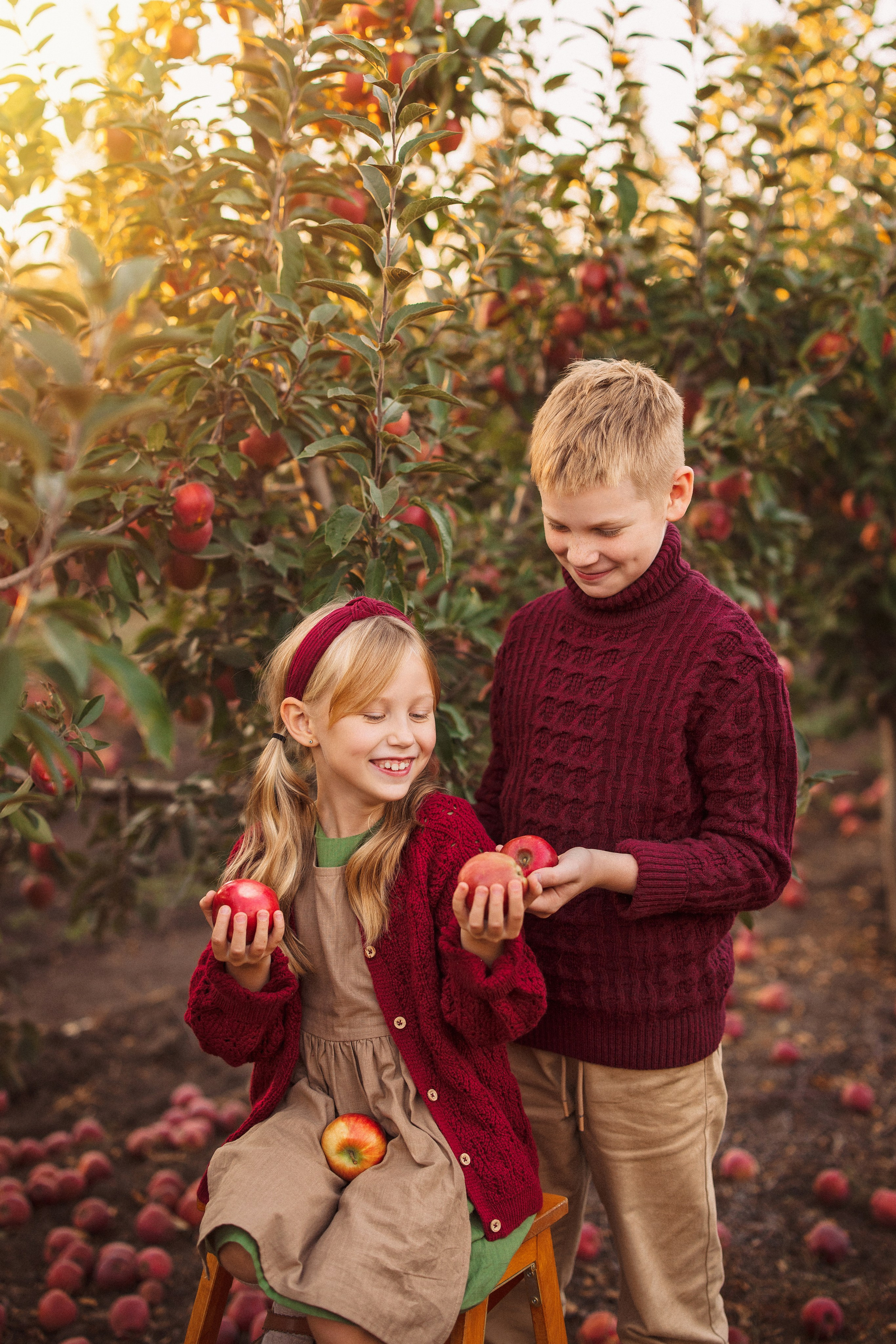 Сбор урожая Яблок. Семейный и детский фотограф в Краснодаре Анна Трашкова