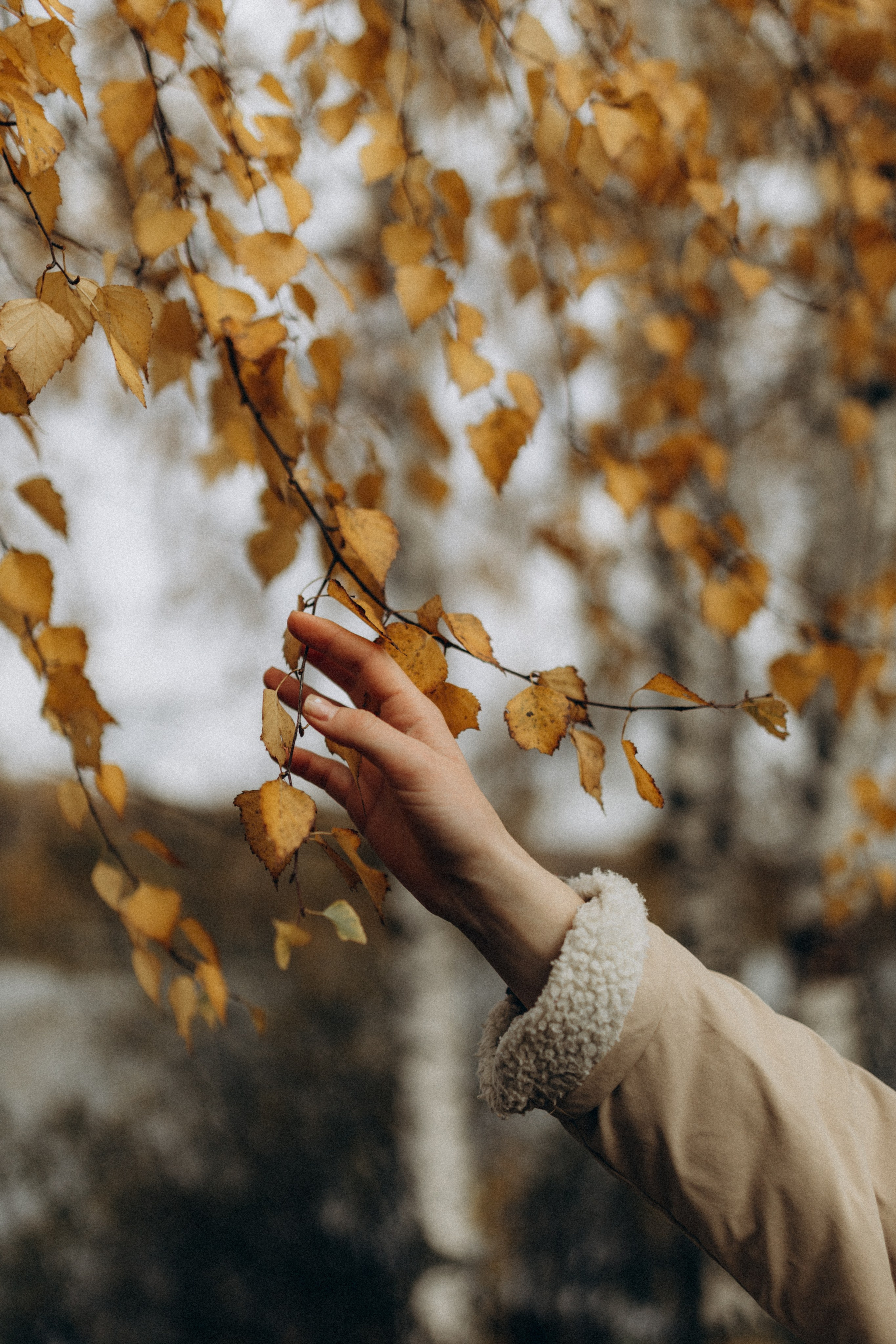 Саша. Фотограф НОГИНСК, Москва, Анастасия Белая