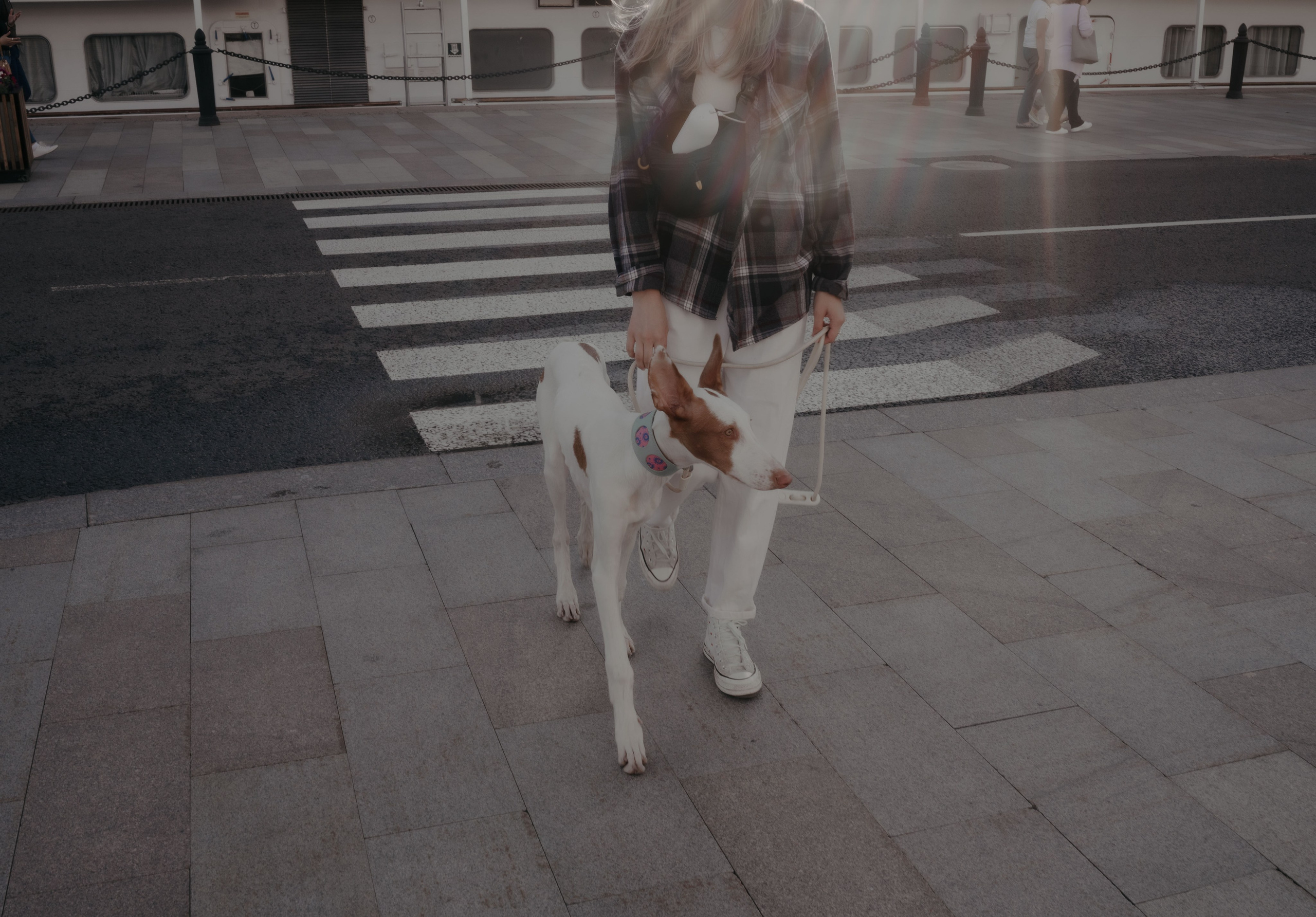 Фотограф- анималист Александра Матвеева