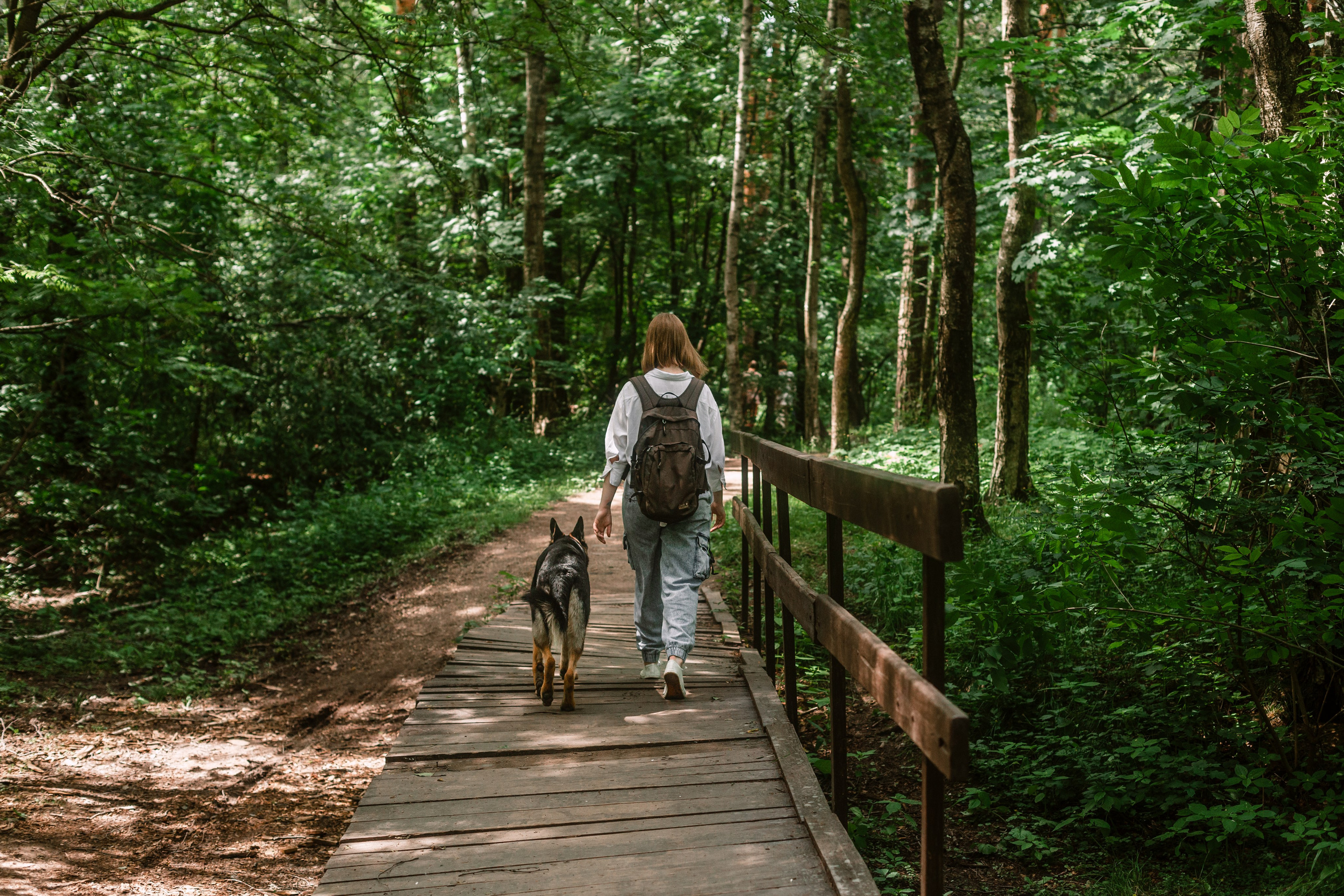 Лесная летняя фотопрогулка. Фотограф-анималист Татьяна Степанова
