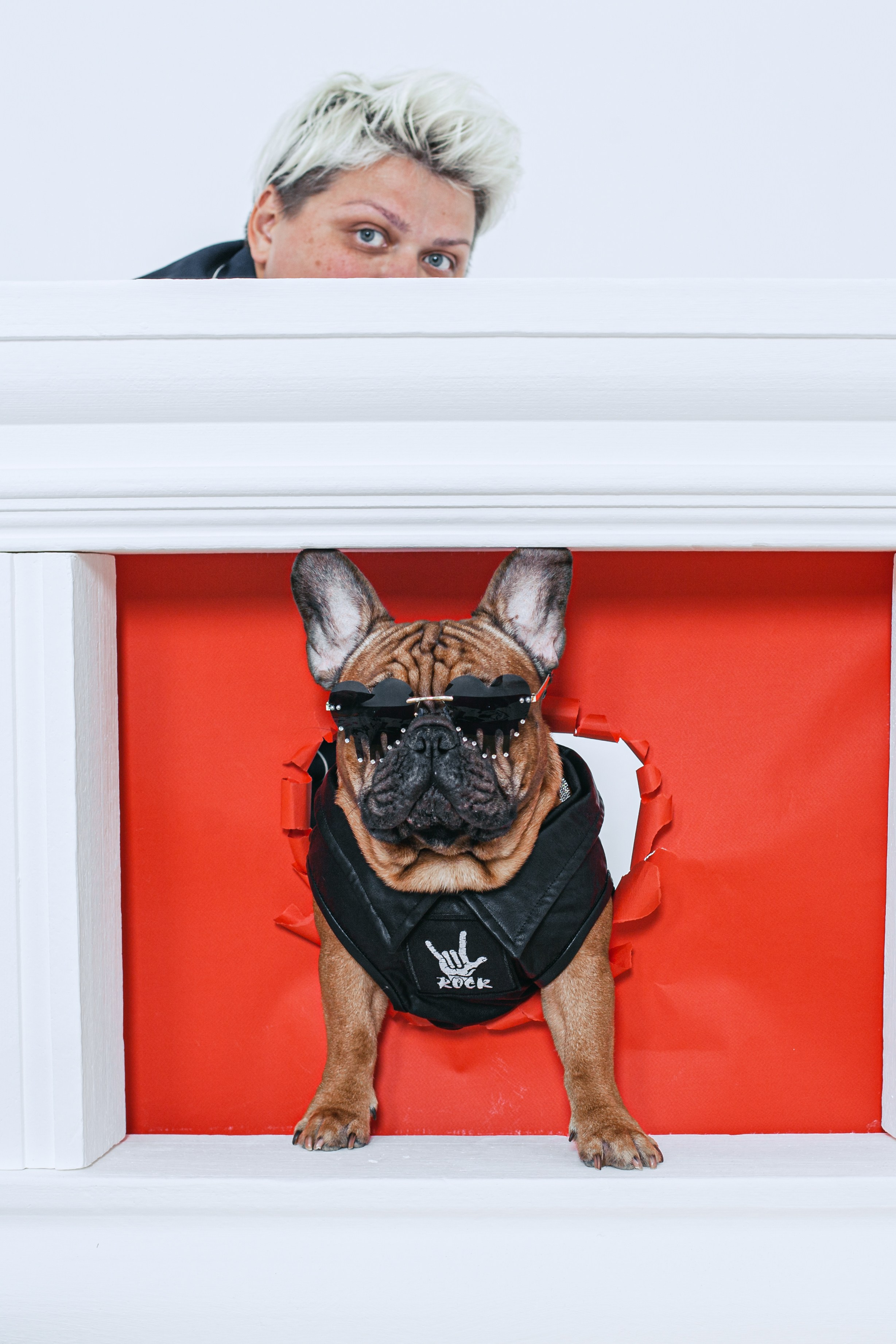 Пижамная вечеринка французских бульдогов и их хозяев. Фотограф-анималист Татьяна Степанова