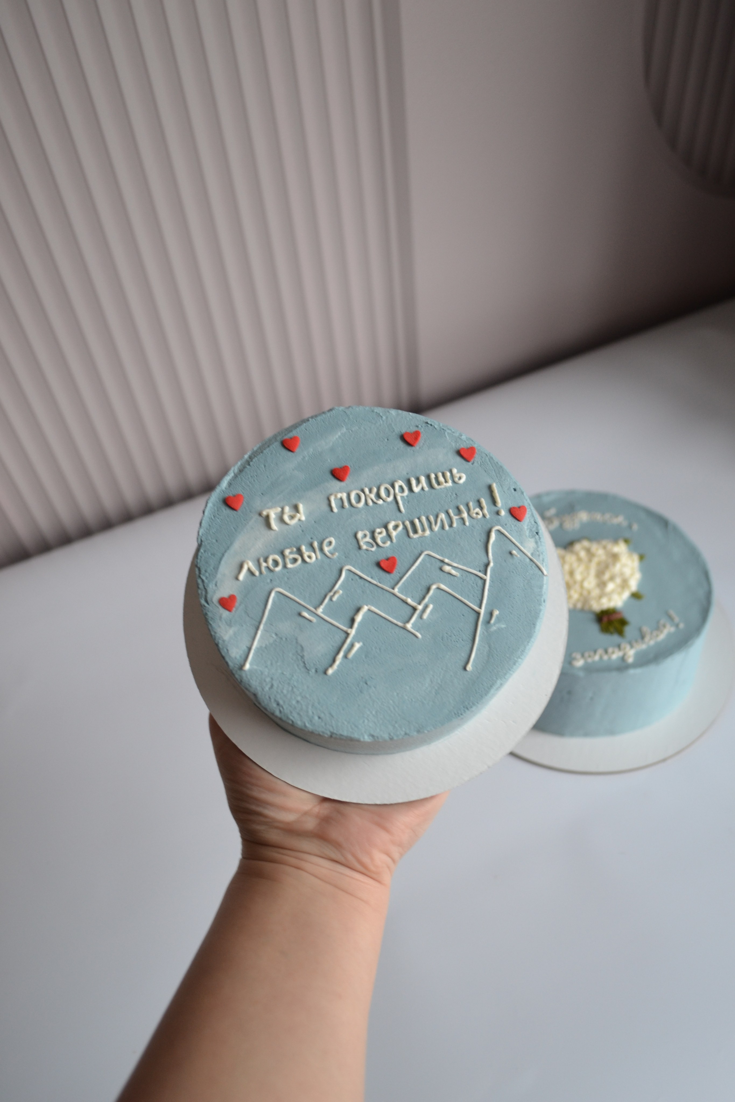 Бенто-торты. Кондитерская. Торты и десерты на заказ в Москве и области, город Химки