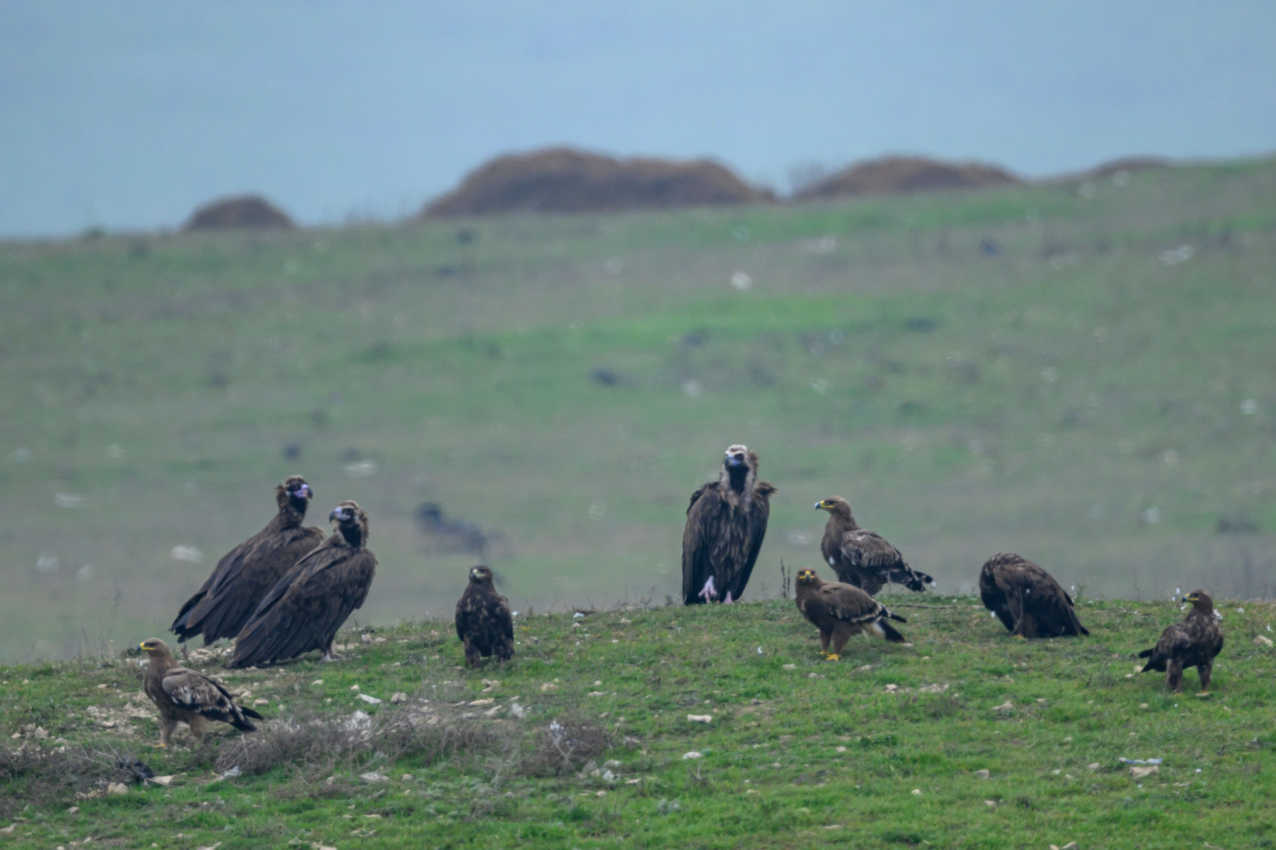 Дагестан. Ноябрь 2025. Фотограф Сергей Пупонин