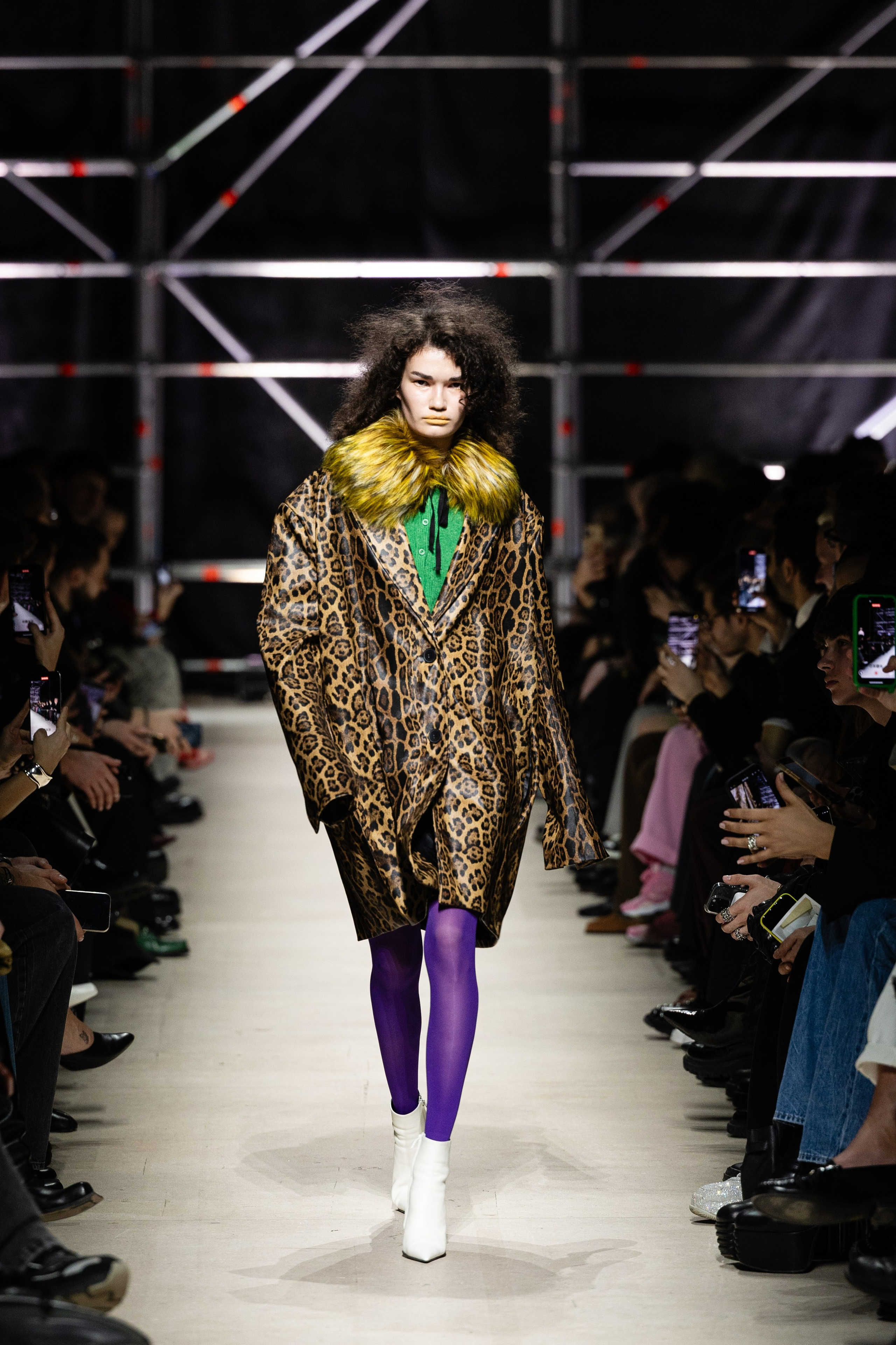 коллекция Александр Рогов