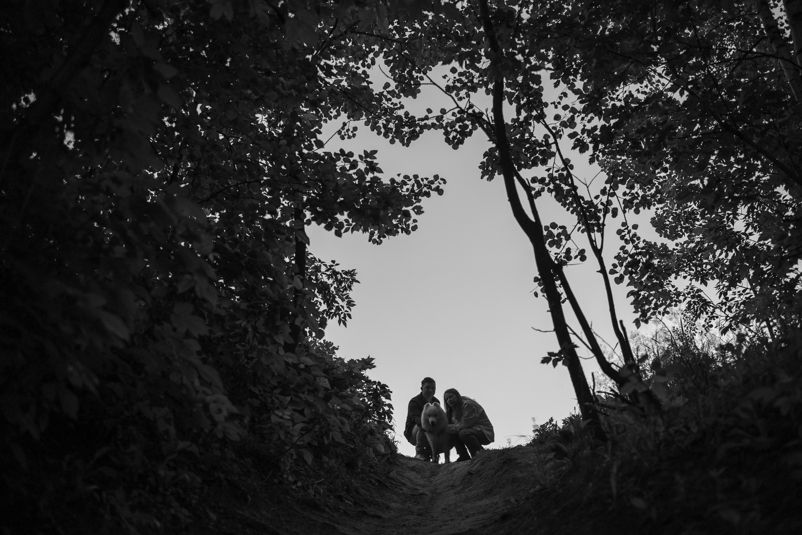 Танго и его семья. Фотограф — Анималист | Санкт-Петербург