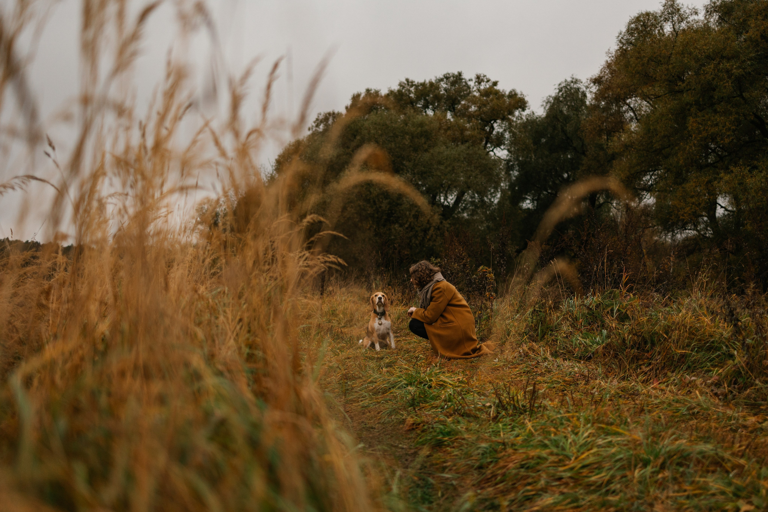 Лена и Тайгер. Фотограф — Анималист | Санкт-Петербург