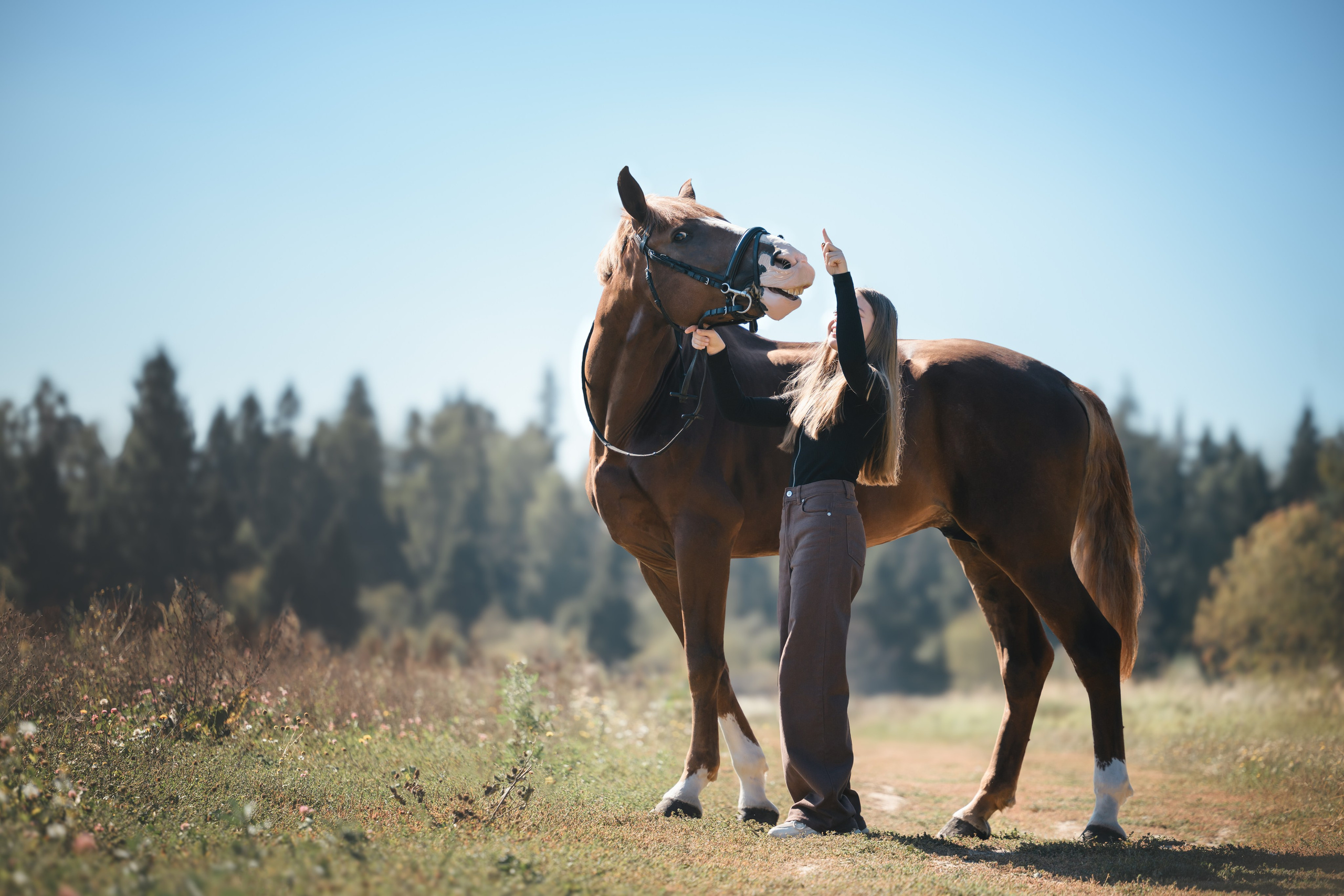 Виктория и Лео. Фотограф Анималист в Москве Анастасия Жучкова