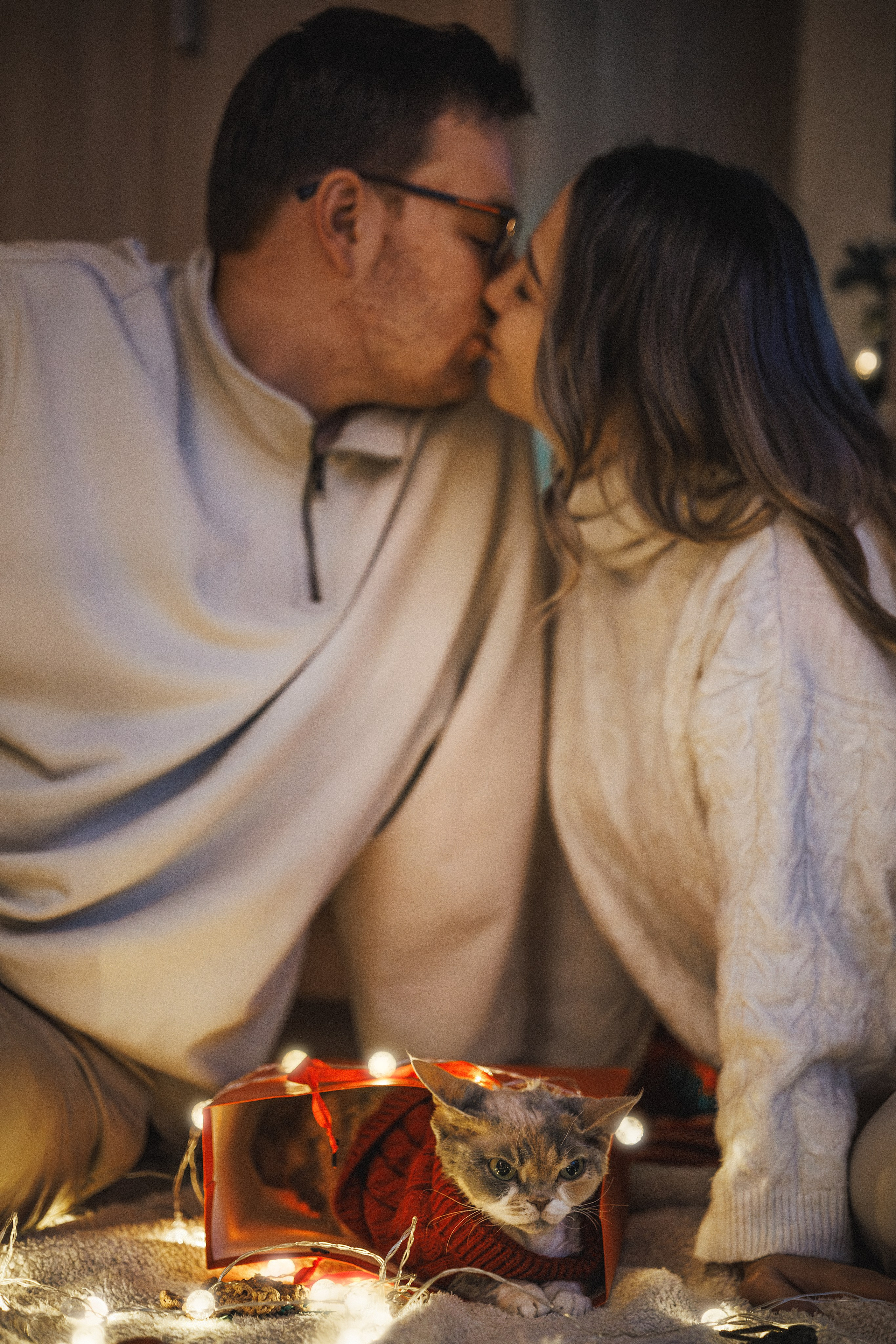 Домашняя новогодняя. Фотограф Анималист в Москве Анастасия Жучкова