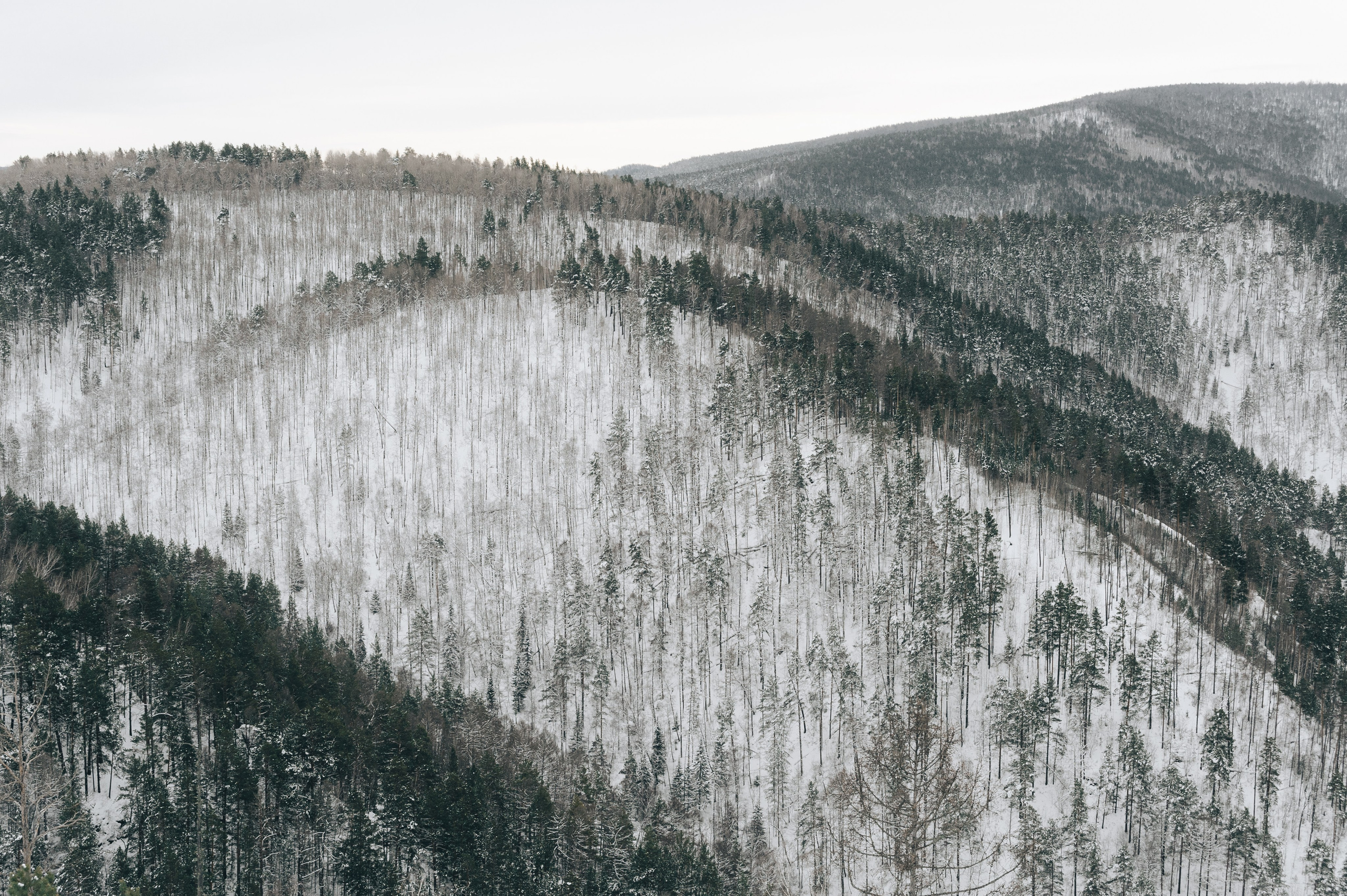 Гуляю то тут то там. Photographer Alik Melkonyan