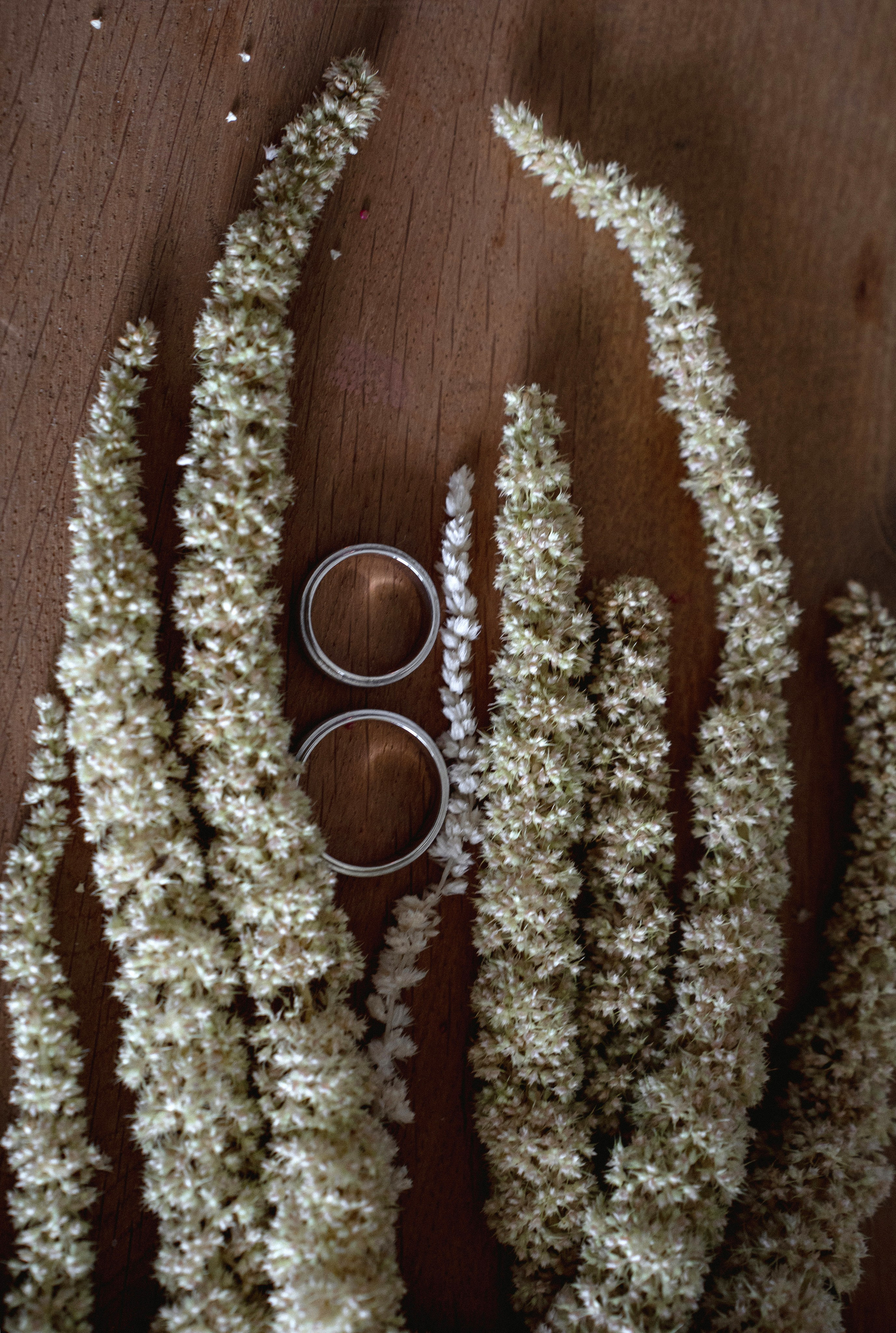 Свадьба в горах. Свадебный и семейный фотограф в Анапе Елена Полетаева