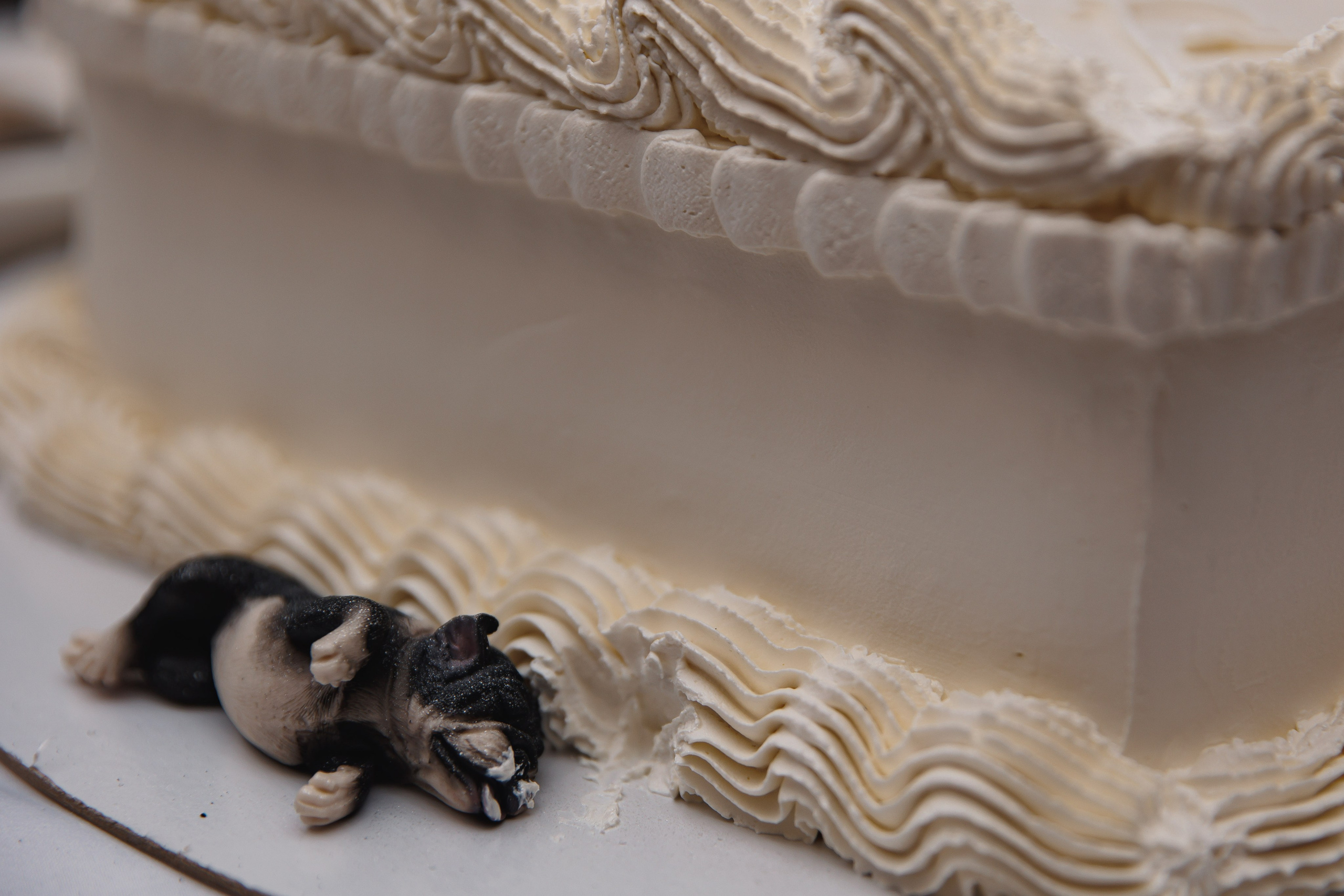 Максим и Василина. Свадебный фотограф в Санкт-Петербурге, Москве, Европе и по всему миру