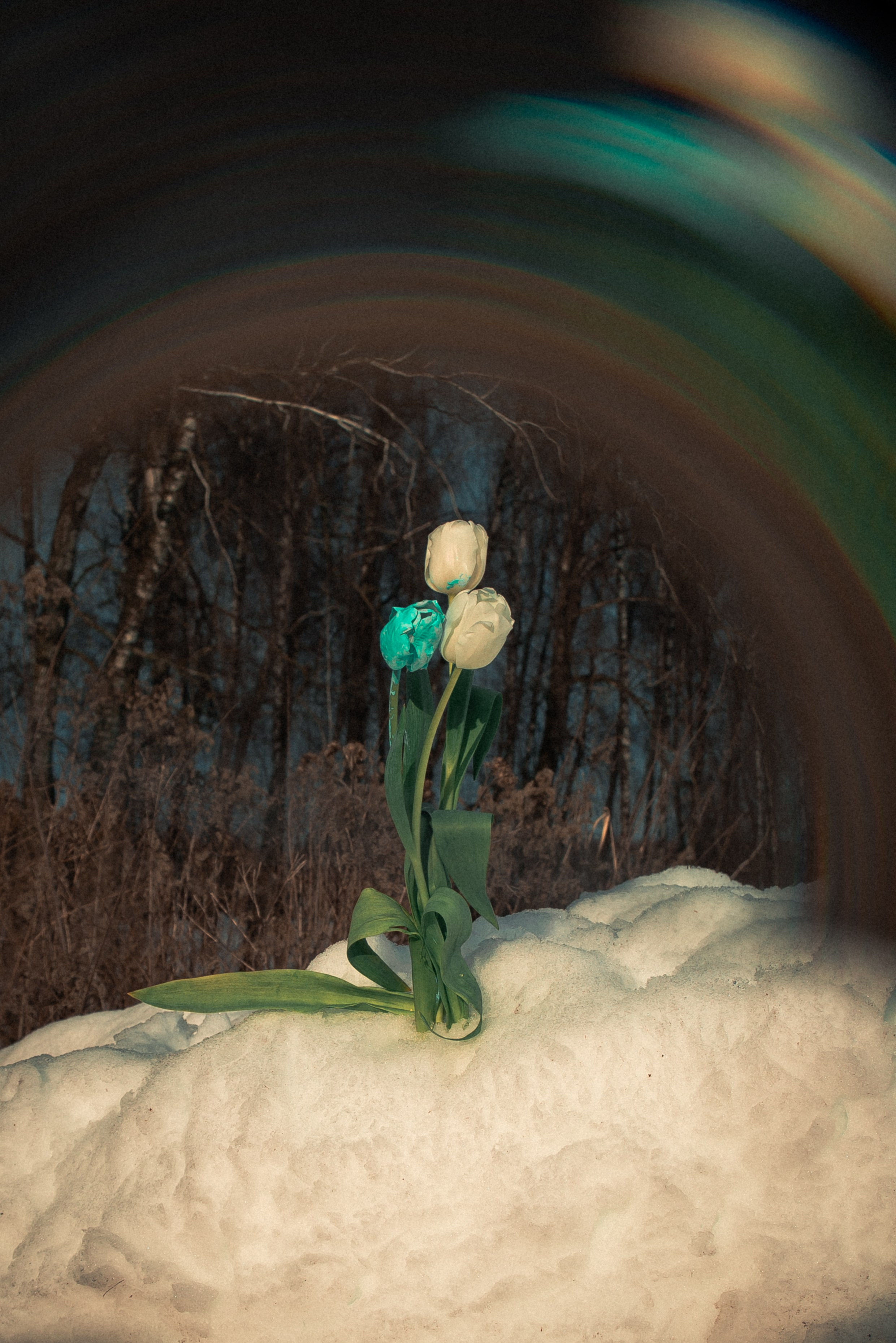 Маша и Миша. Фотограф Крещение Венчание Москва