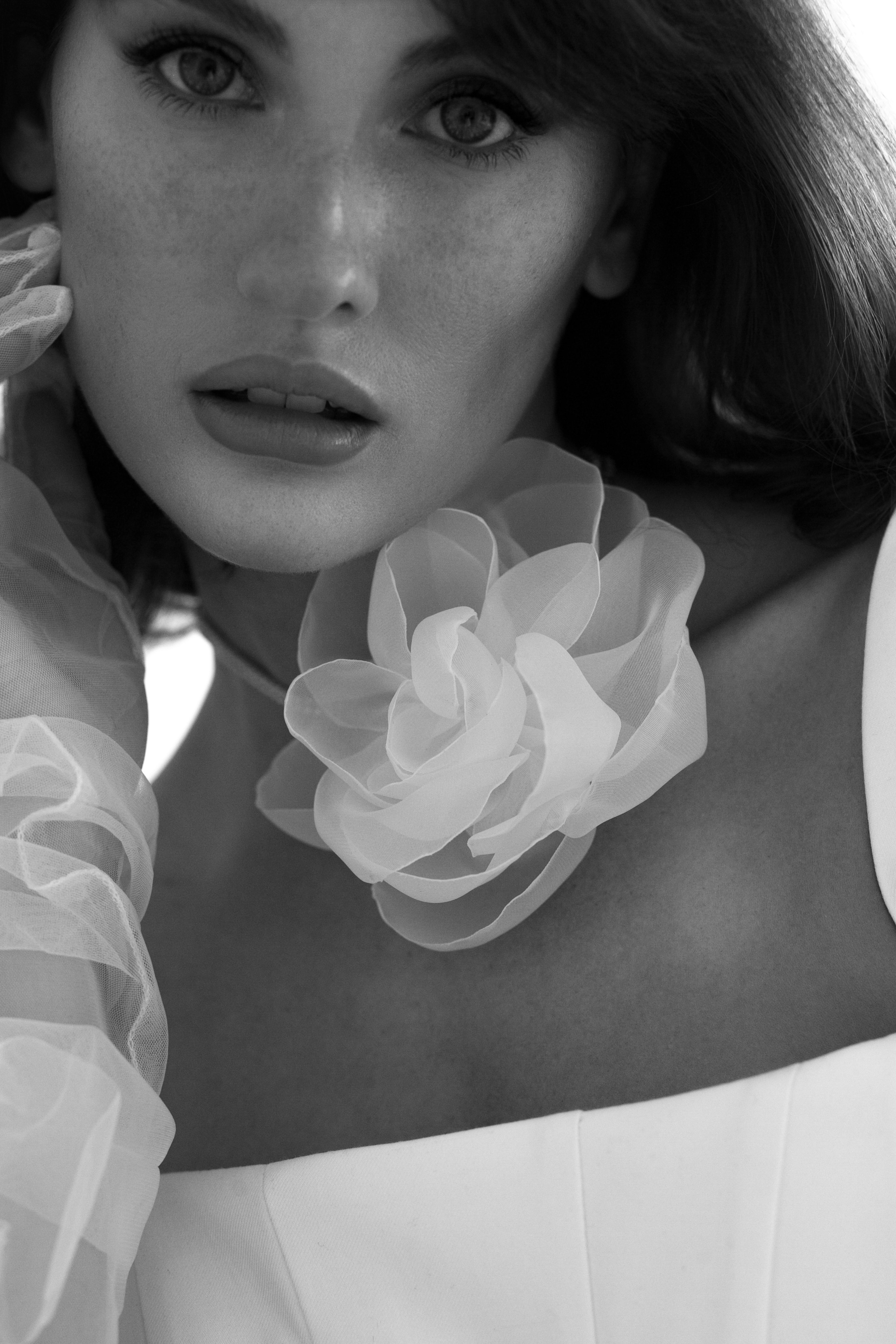 Je sense. Фотограф Шевчик Виктория