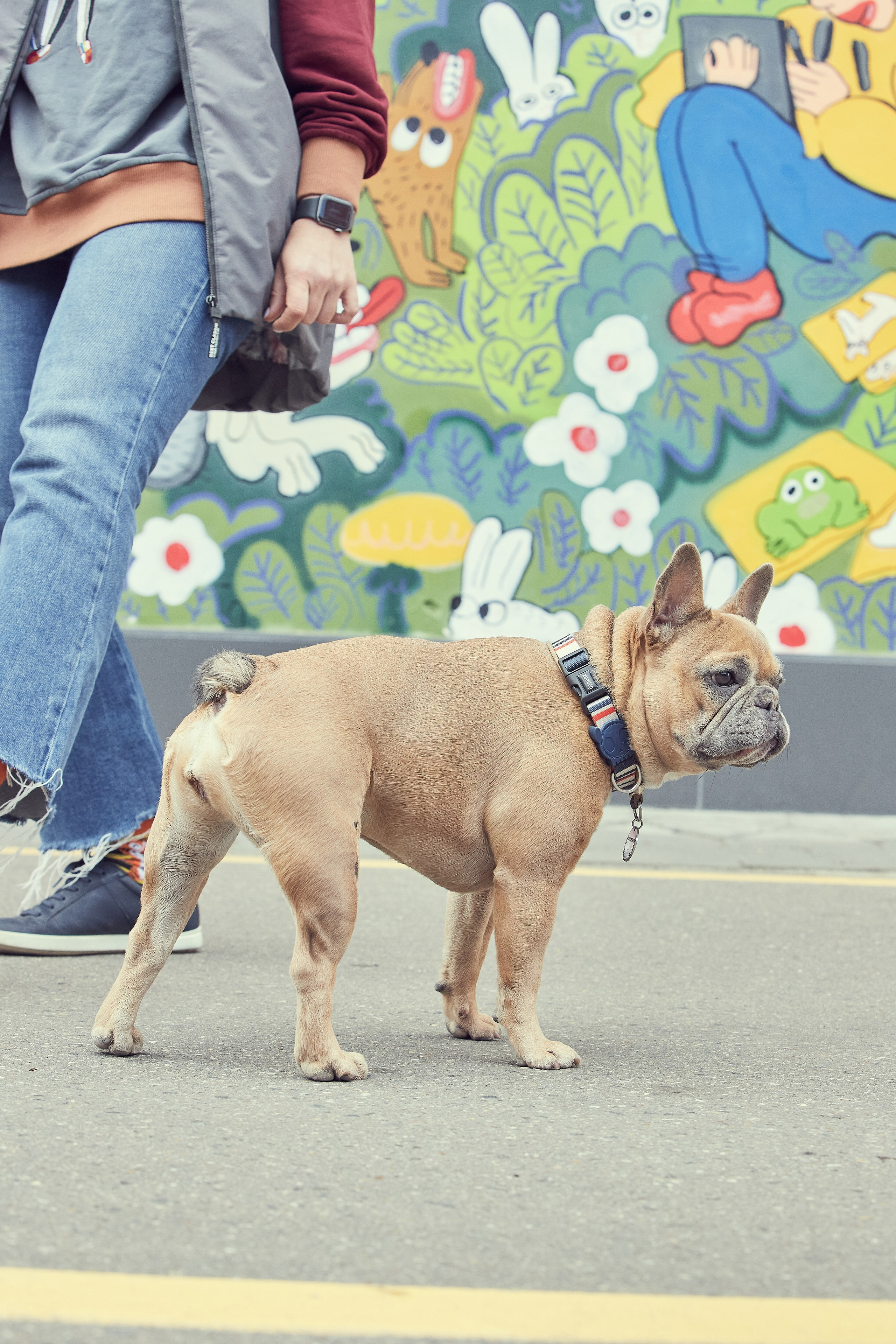 Портретная фотосессия Софы и питомцев. Екатерина Осипова — профессиональный фотограф в Москве