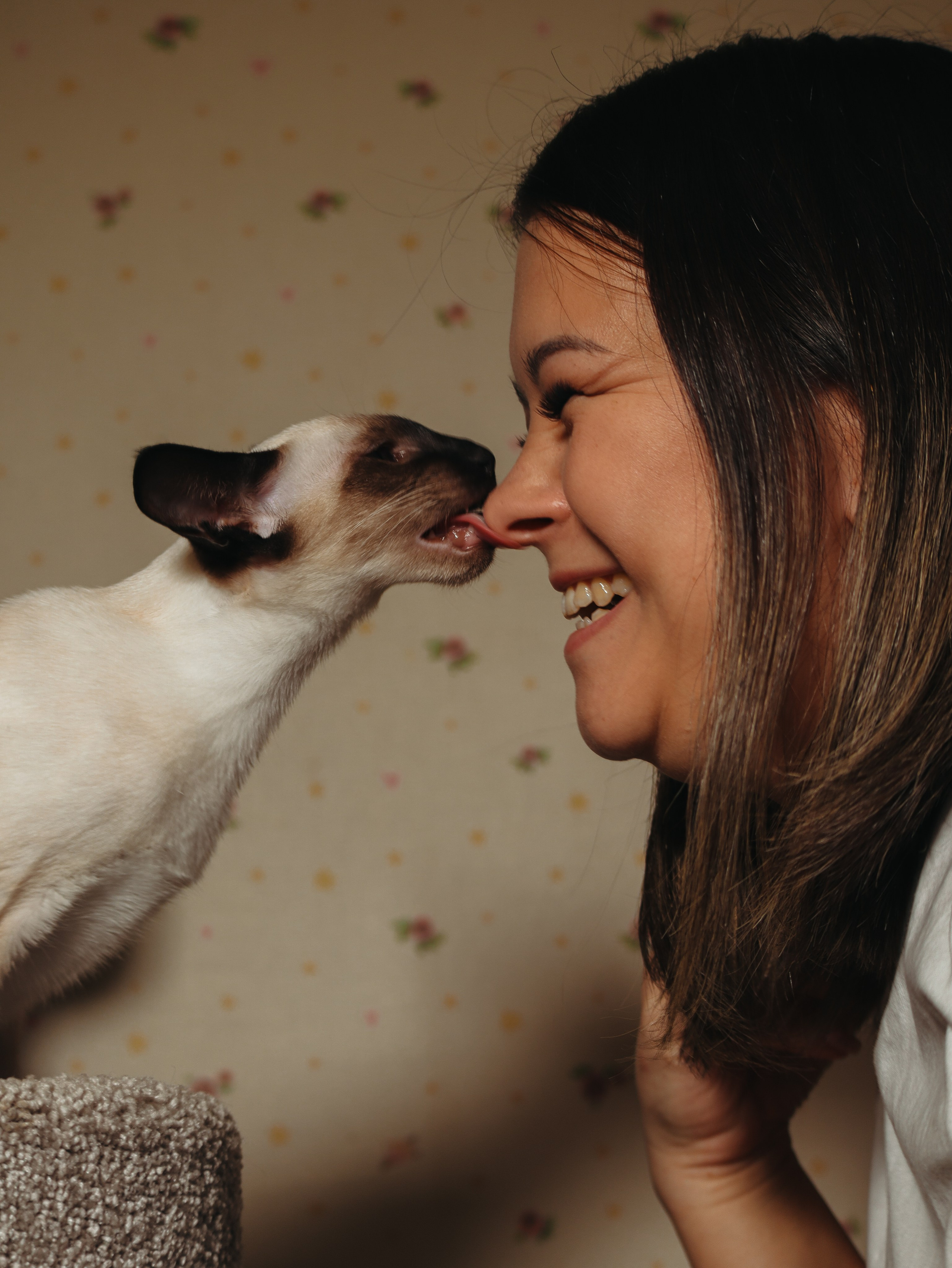 Питомцы. Кинематографичный фотограф, видеограф Лина Плешакова, Санкт-Петербург