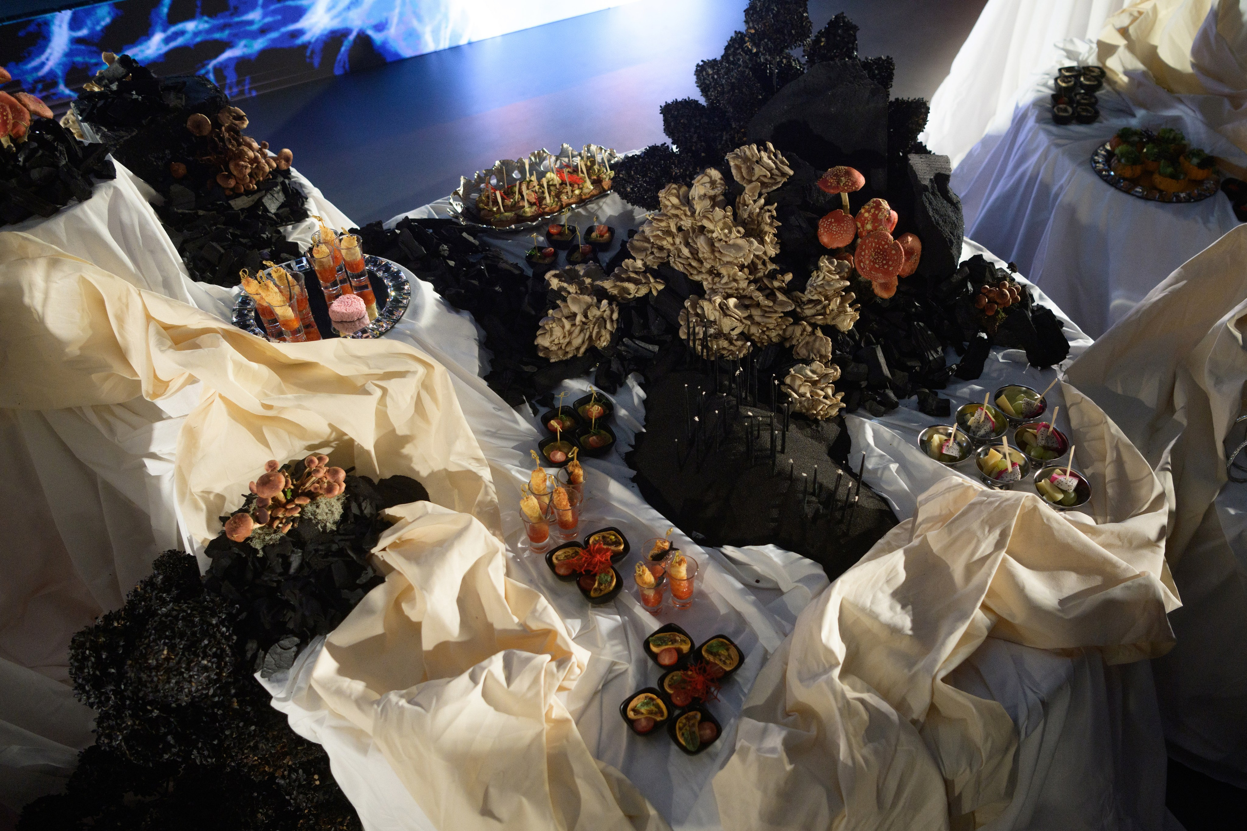 Decor by Favorite catering. Свадебный фотограф в Минске