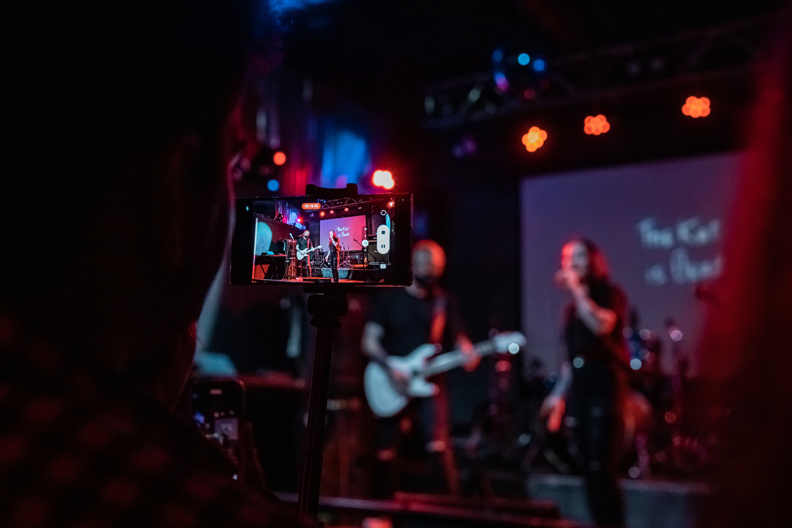 THE KAT IS DEAD. Фотограф Елена Богачева (lenalena_na_na_na)