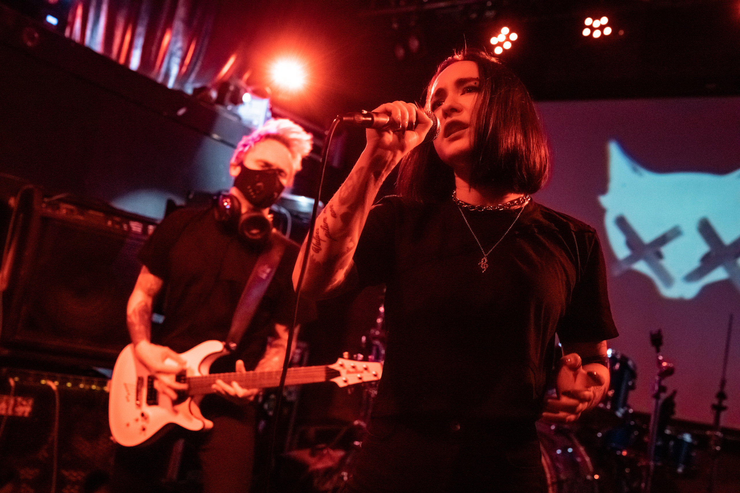 THE KAT IS DEAD. Фотограф Елена Богачева (lenalena_na_na_na)