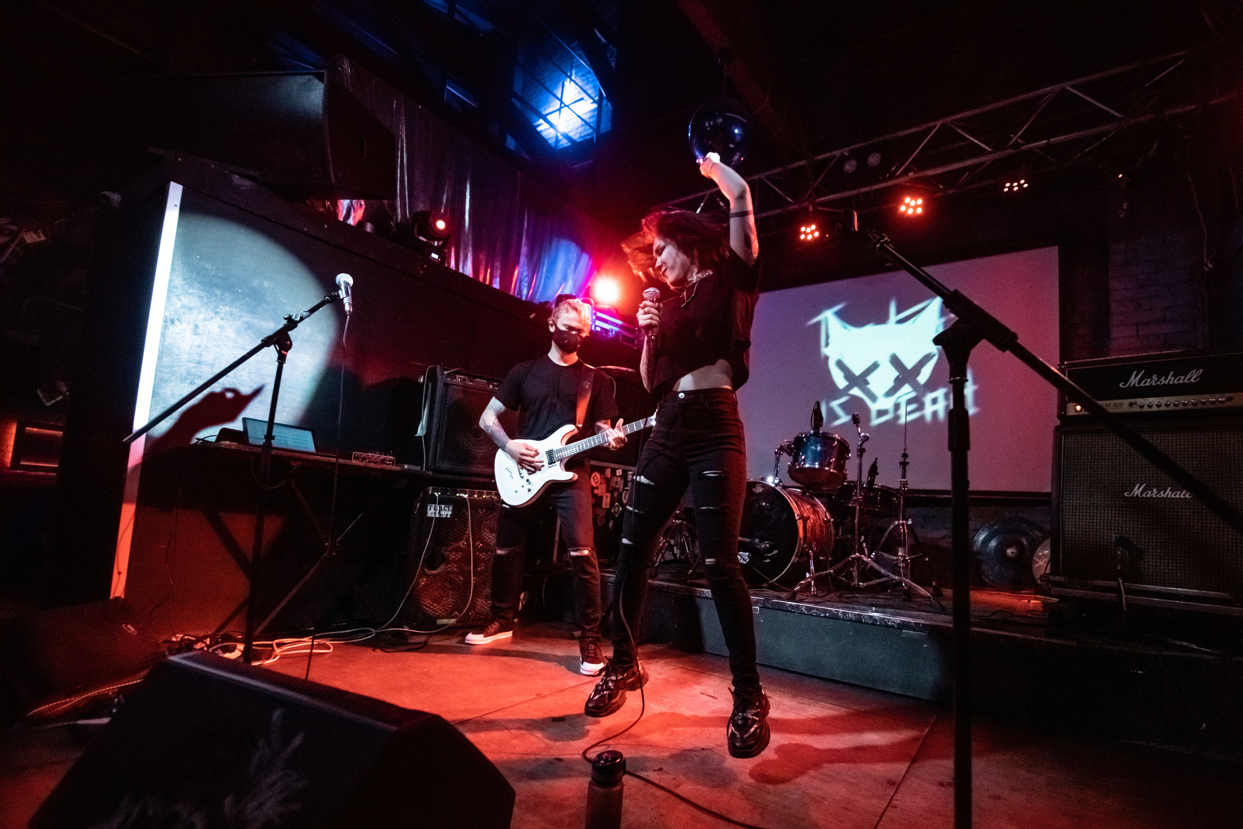 THE KAT IS DEAD. Фотограф Елена Богачева (lenalena_na_na_na)