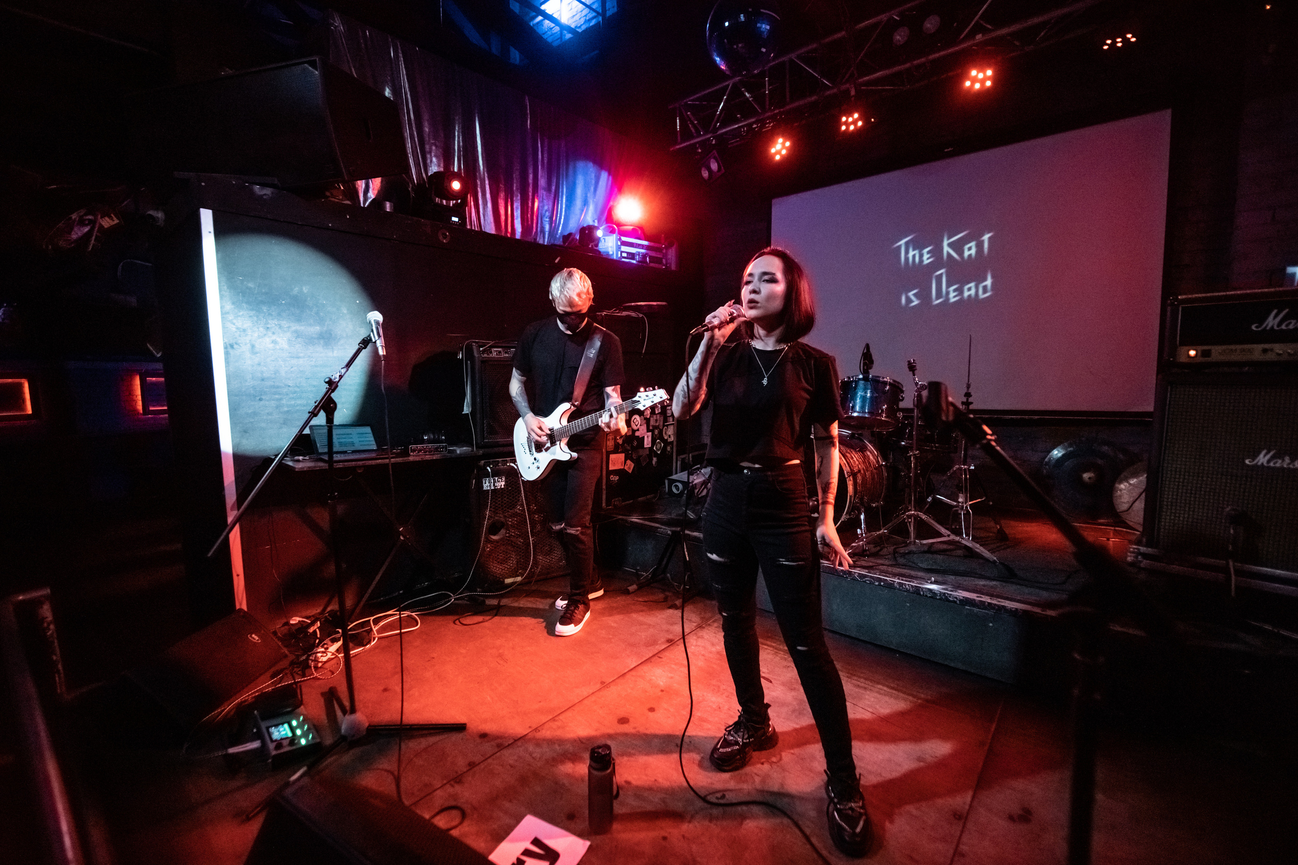 THE KAT IS DEAD. Фотограф Елена Богачева (lenalena_na_na_na)