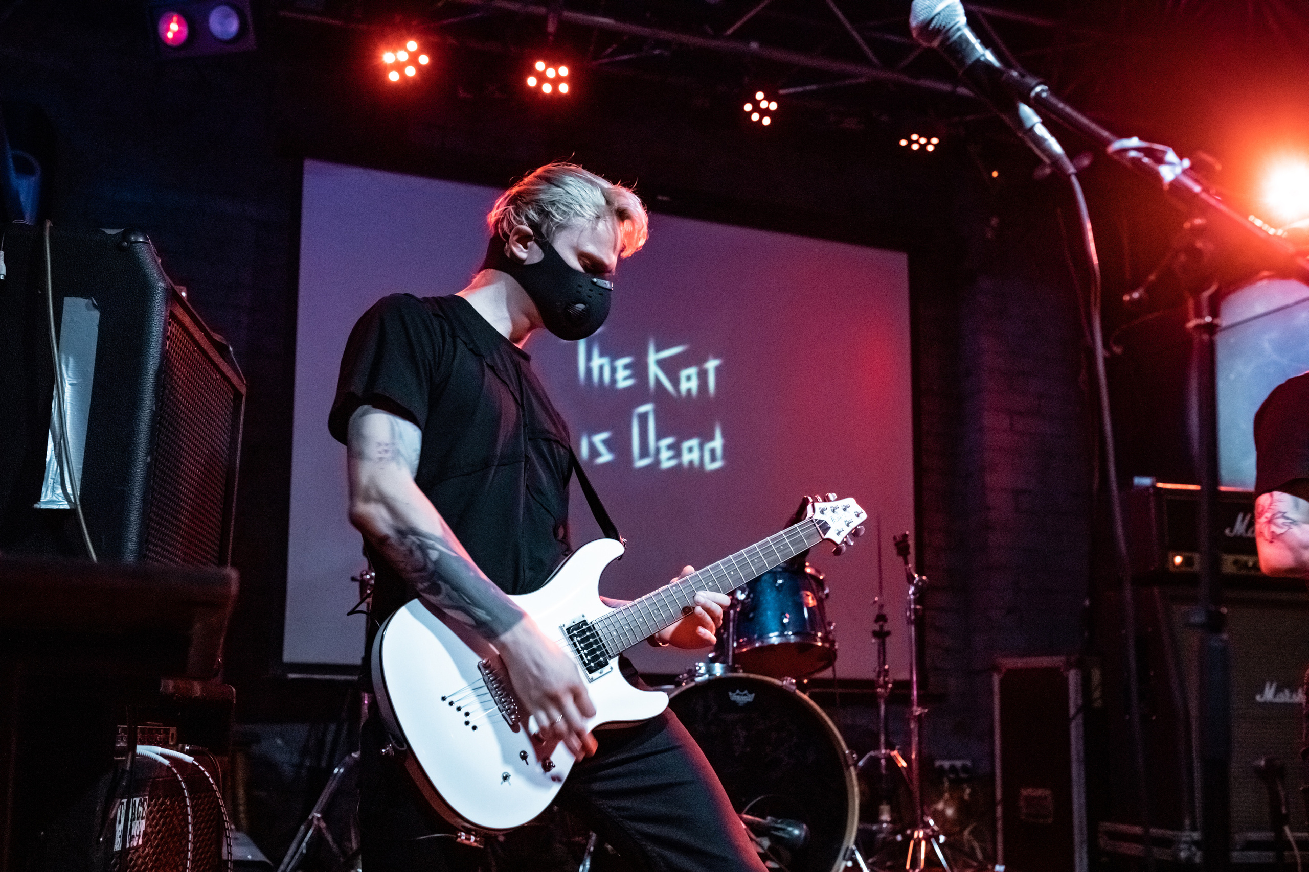 THE KAT IS DEAD. Фотограф Елена Богачева (lenalena_na_na_na)